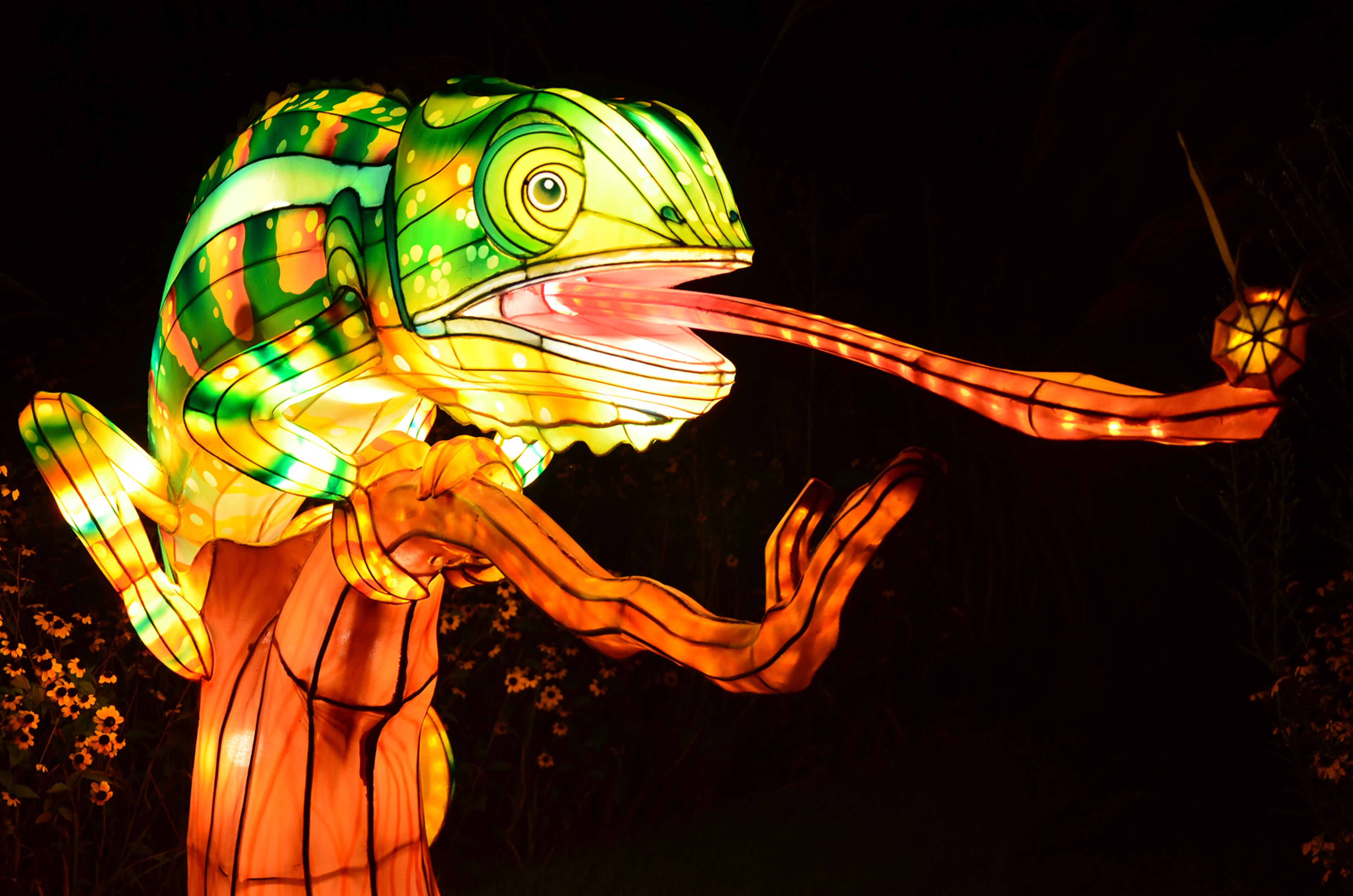Even lizard lanterns want to celebrate the holidays at IllumiNights at the Zoo: A Chinese Lantern Festival.
(Courtesy of Hanart Culture)