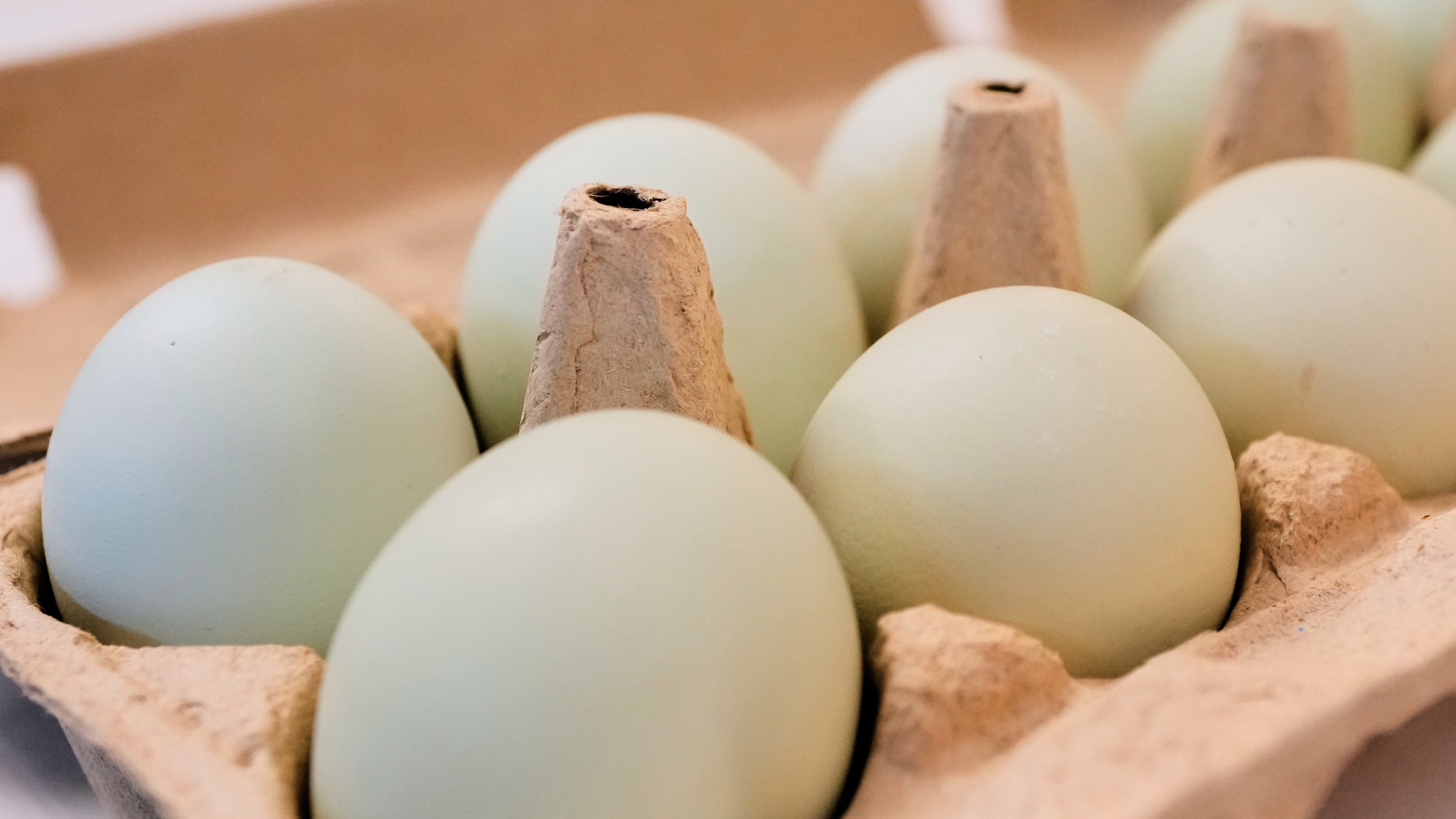 FILE - A carton of eggs is pictured in Farmers Branch, Texas, on Oct. 21, 2025. (AP Photo/Tony Gutierrez, File)