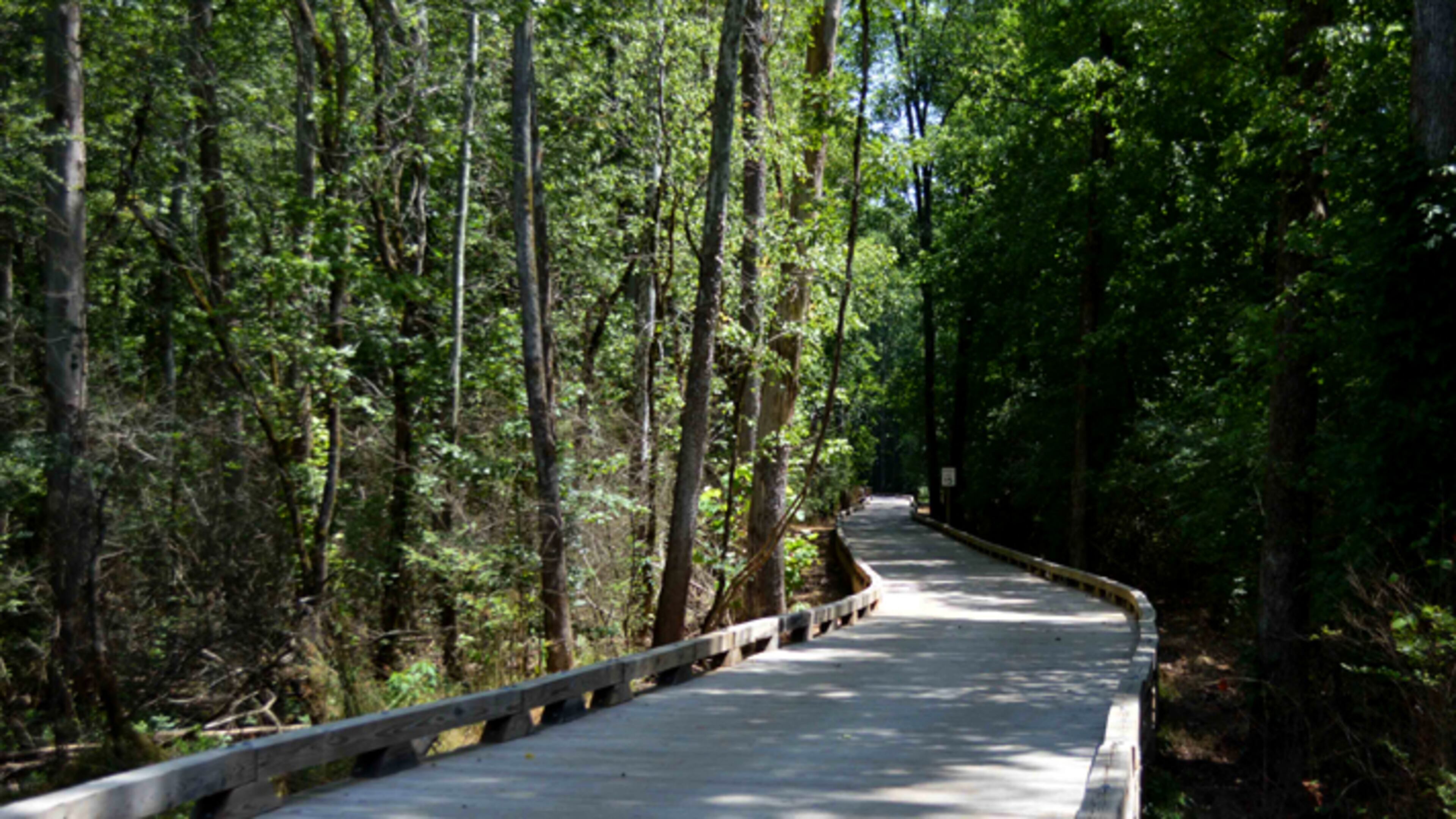 A portion of Forsyth County’s Greenway project. Multi-use trails like this could be in the works for the northern part of the county as officials seek input on a proposed trail system there.