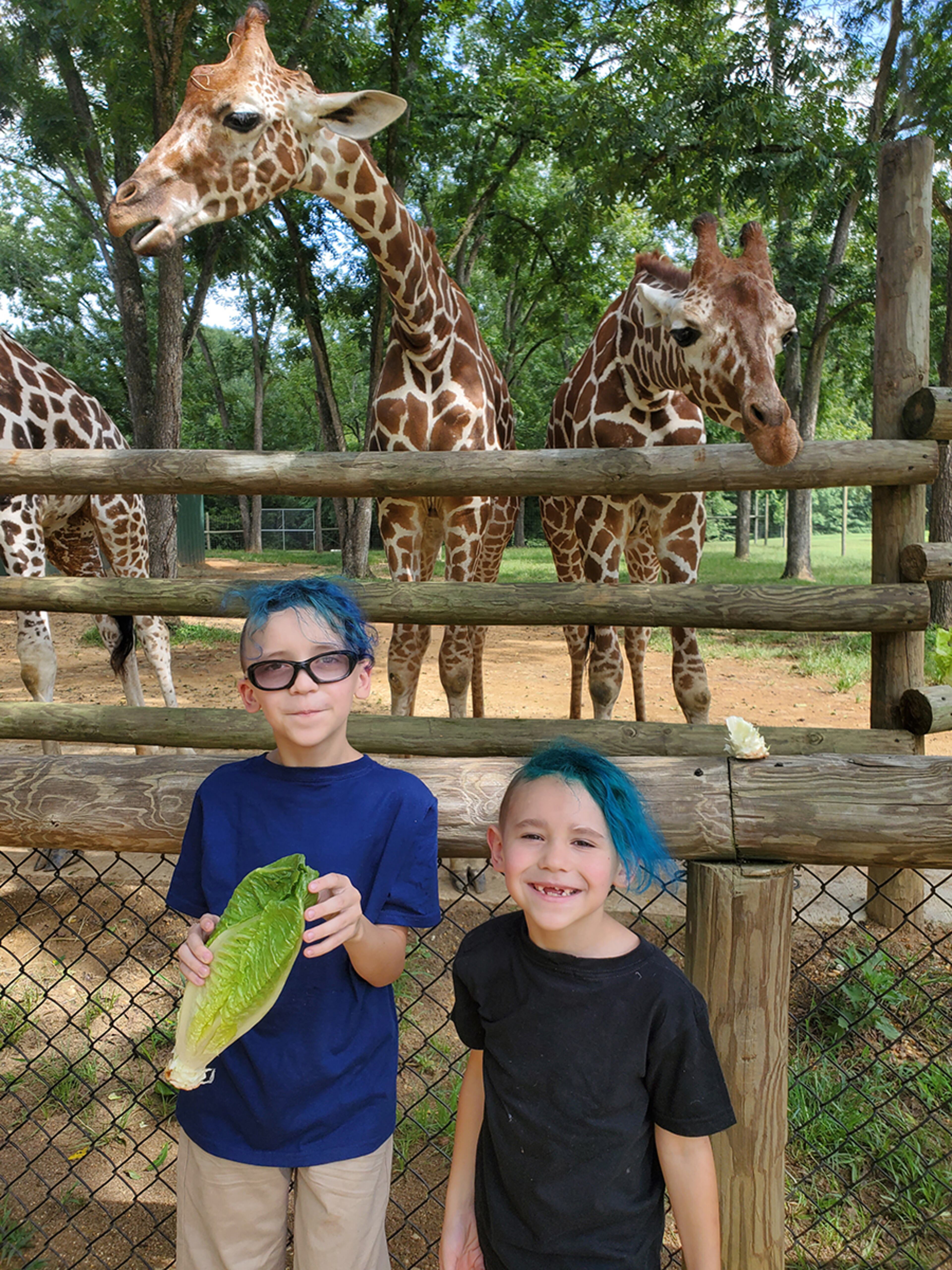 Although the Altmans stayed in their car through most of the Alabama Safari Park, there were opportunities to get out and interact with the animals. Gauge (left) and Blaze fed the giraffes. Photo courtesy Ashley Altman