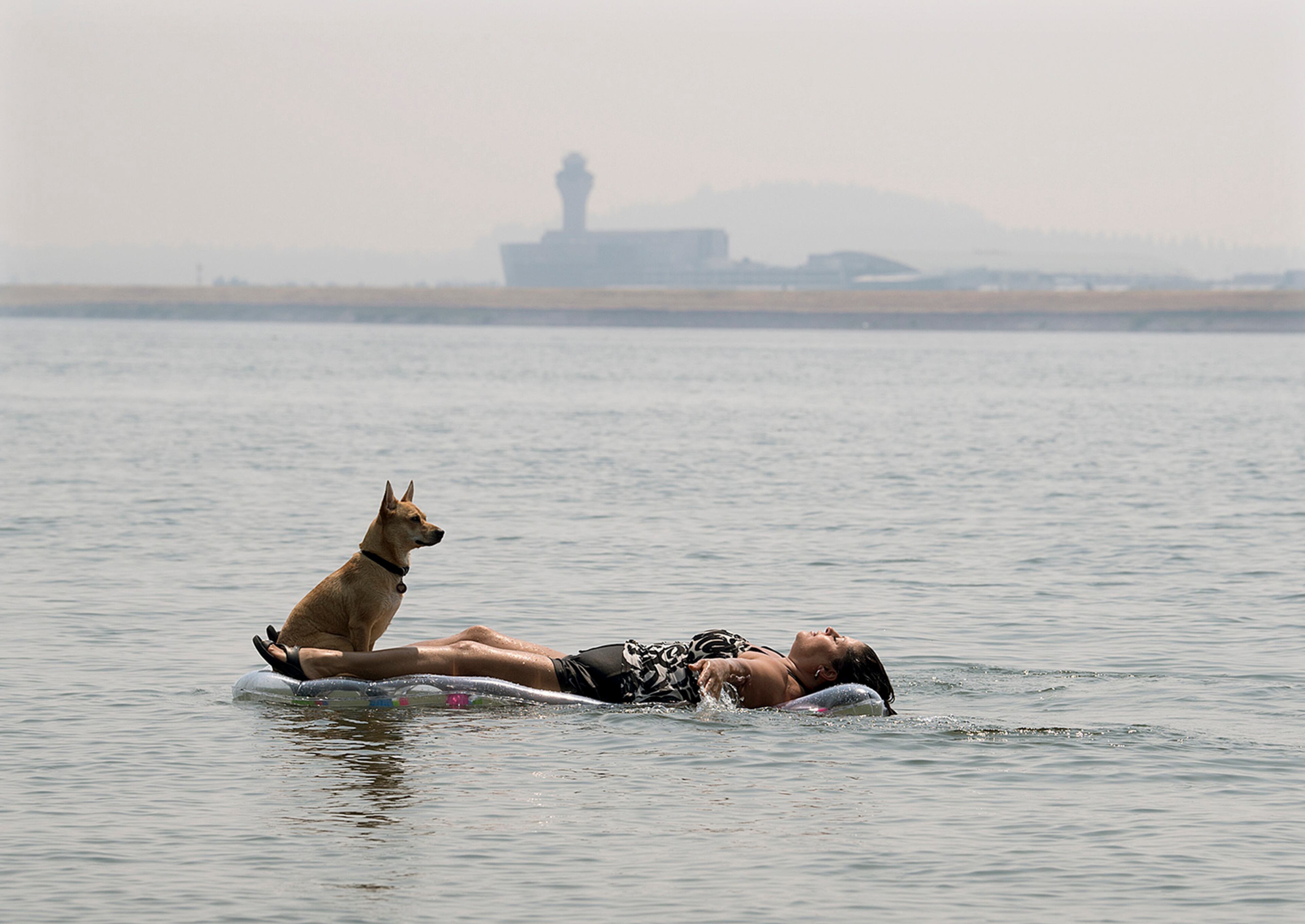 The tower at Portland International Airport is barely visible through the haze as Marina Vanegas stretches out in the cool waters of Wintler Park in Vancouver, Wash., with four-legged friend, Onyx, on Thursday, Aug. 3, 2017. Vanegas and Onyx were relaxing in the water while waiting to meet up family members at the popular spot along the Columbia River. (Amanda Cowan/The Columbian via AP)
