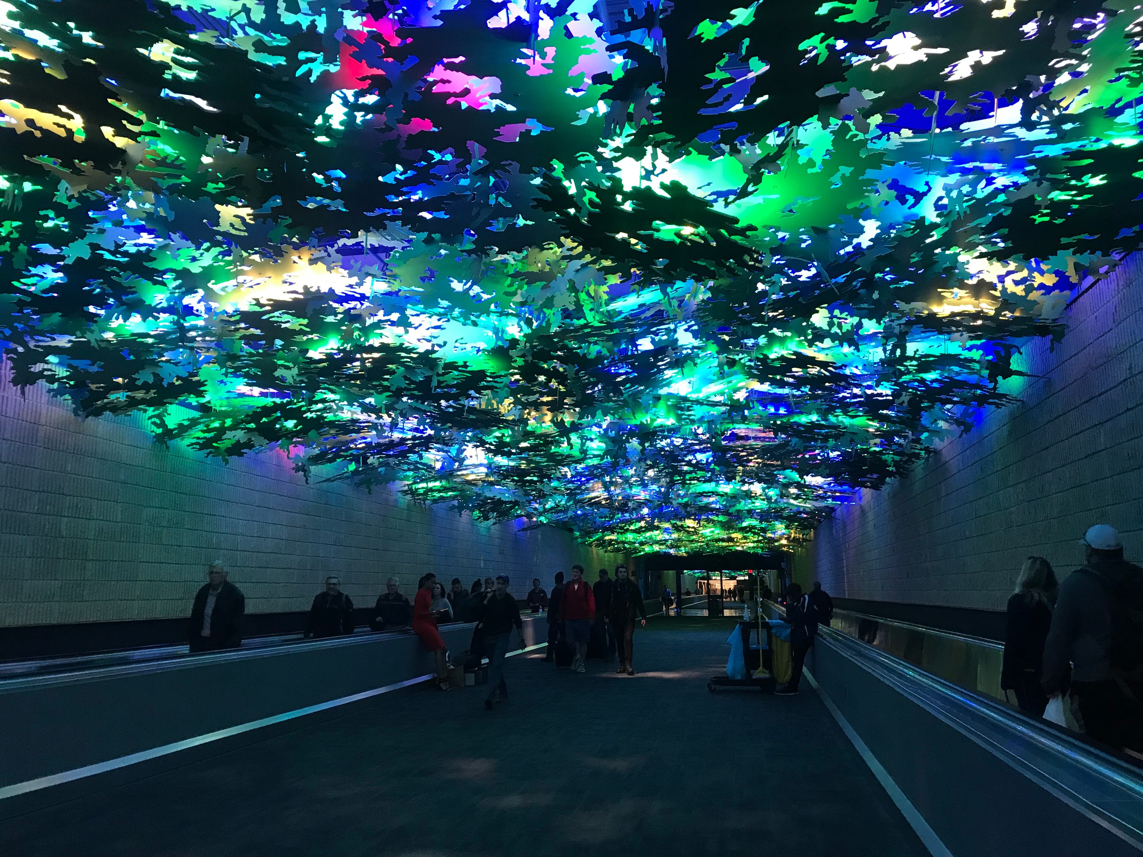 "Flight Paths" by Steve Waldeck