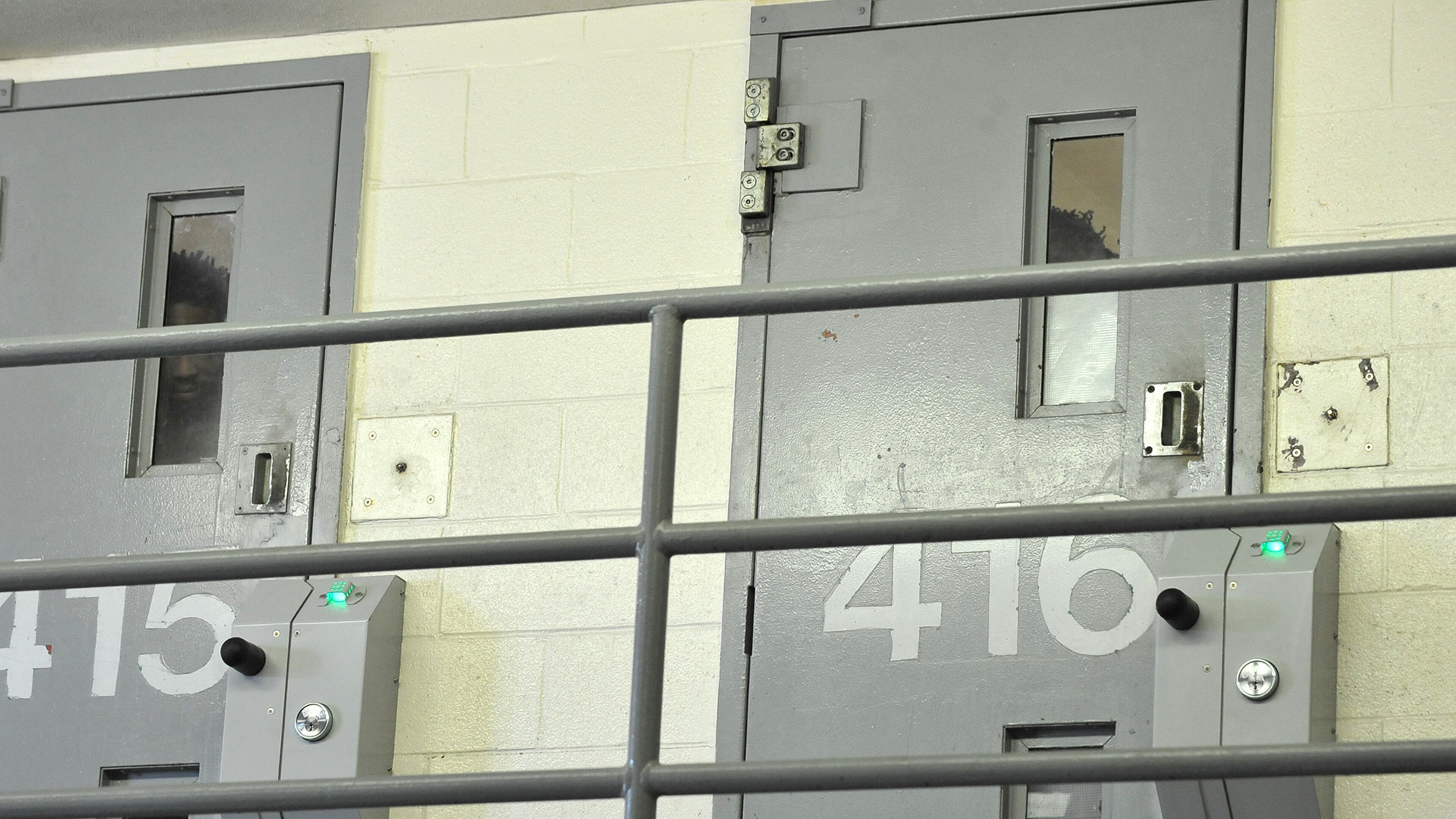 The state of Georgia incarcerates nearly 2,650 veterans in state prisons.