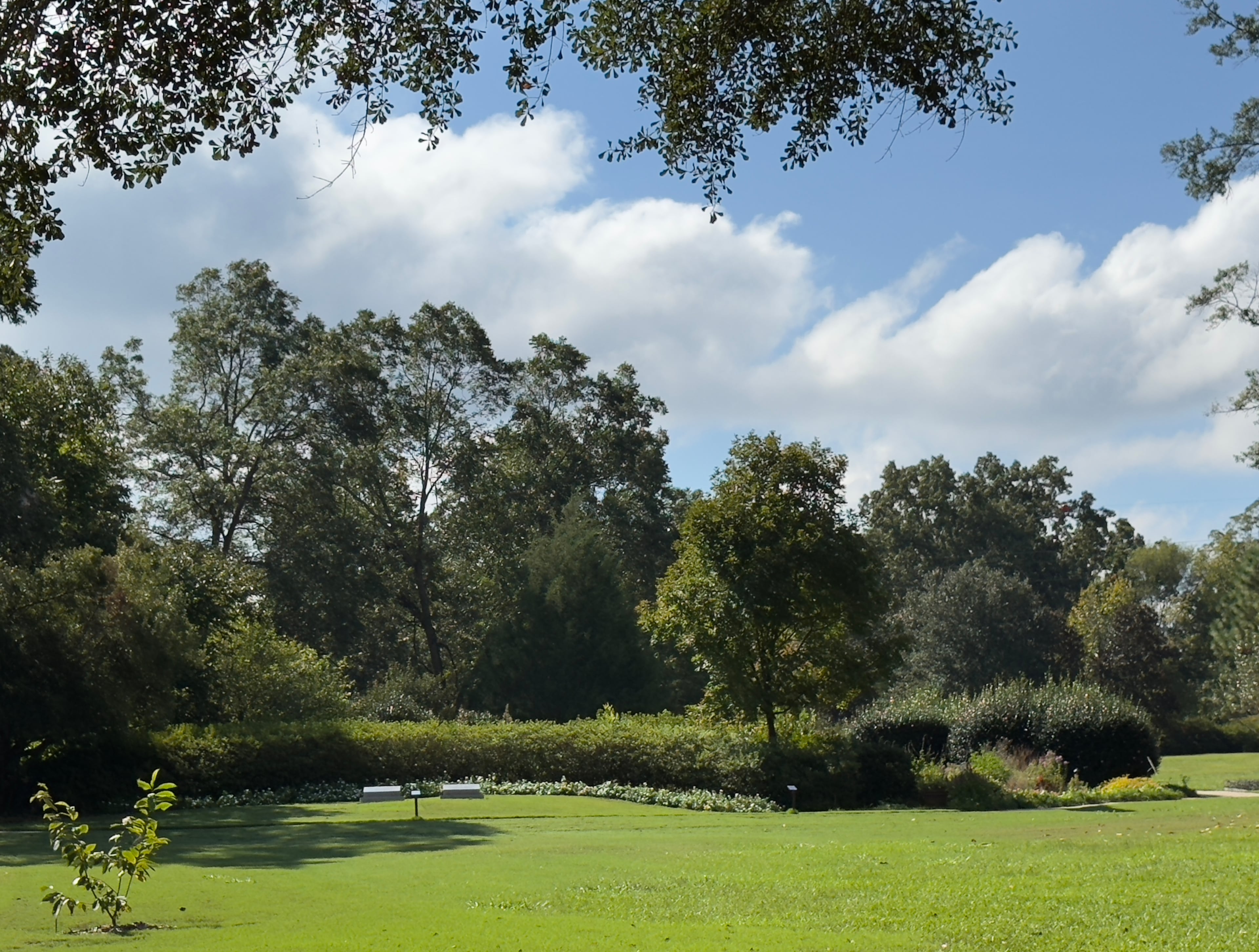 The Carter Gardens, the burial site of former President Jimmy Carter and former First Lady Rosalynn Carter, opened to the public a couple in July. (Joe Kovac Jr./AJC)