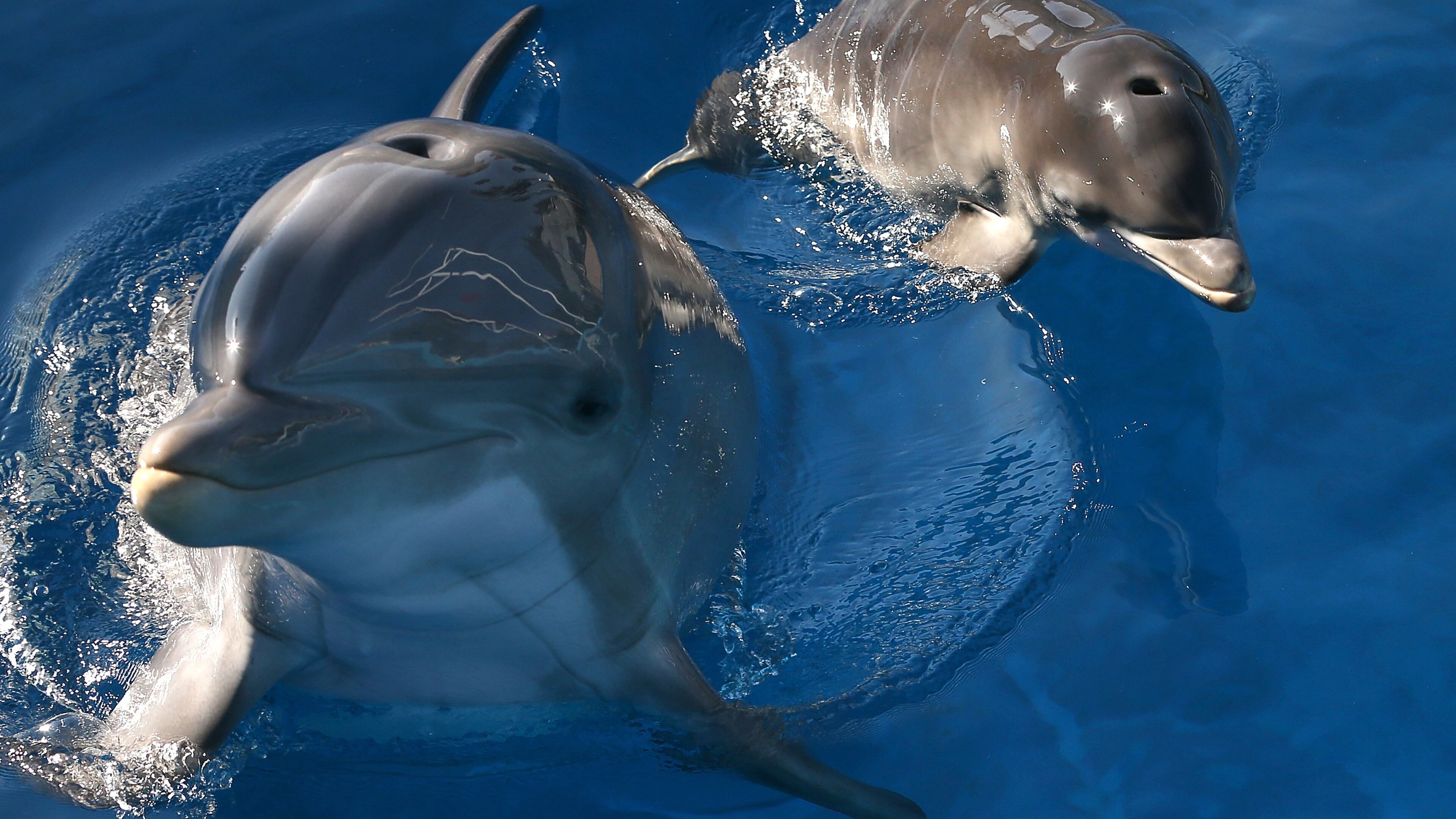 (Photo by Justin Sullivan/Getty Images)