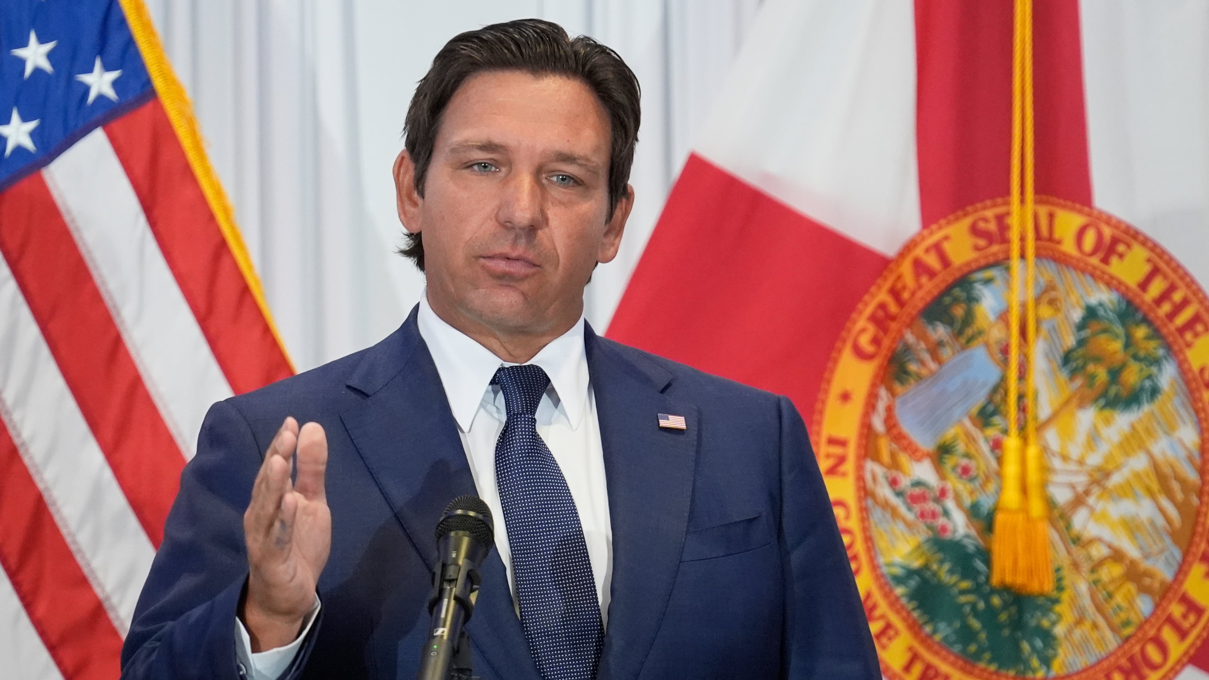 FILE - Florida Gov. Ron DeSantis speaks during a news conference, Aug. 12, 2025, in Tampa, Fla. (AP Photo/Chris O'Meara, File)