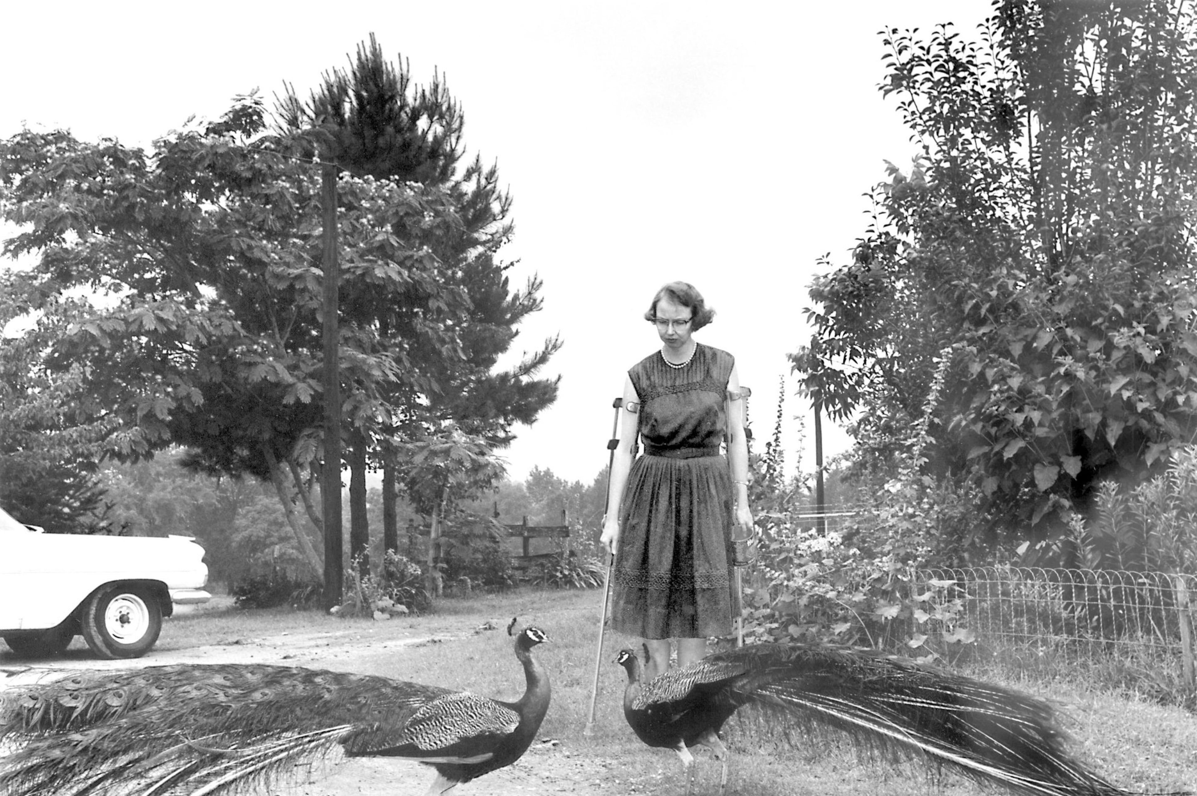 College takes over operation of author Flannery O’Connor’s farm