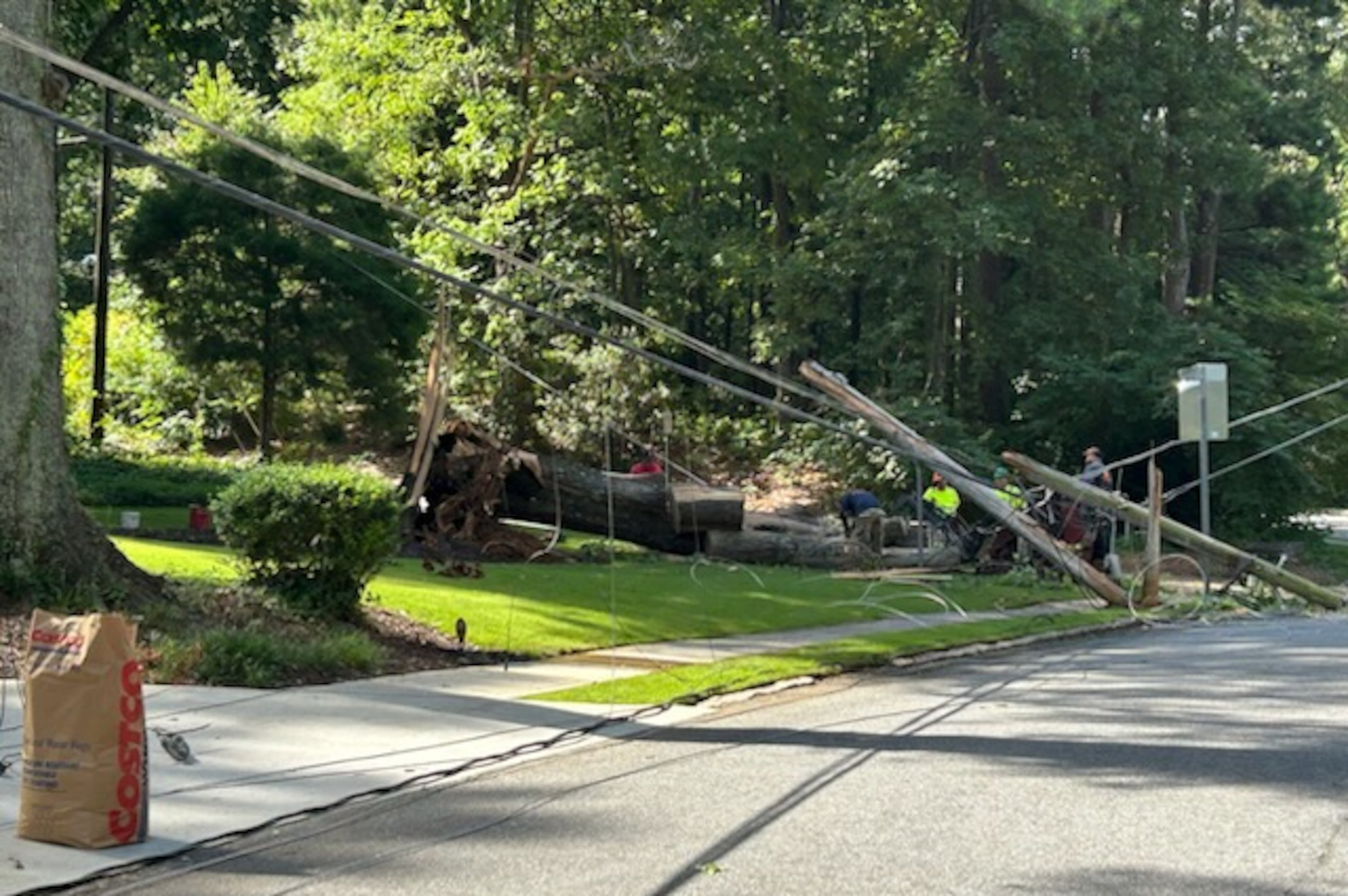 Fallen tree in DeKalb County