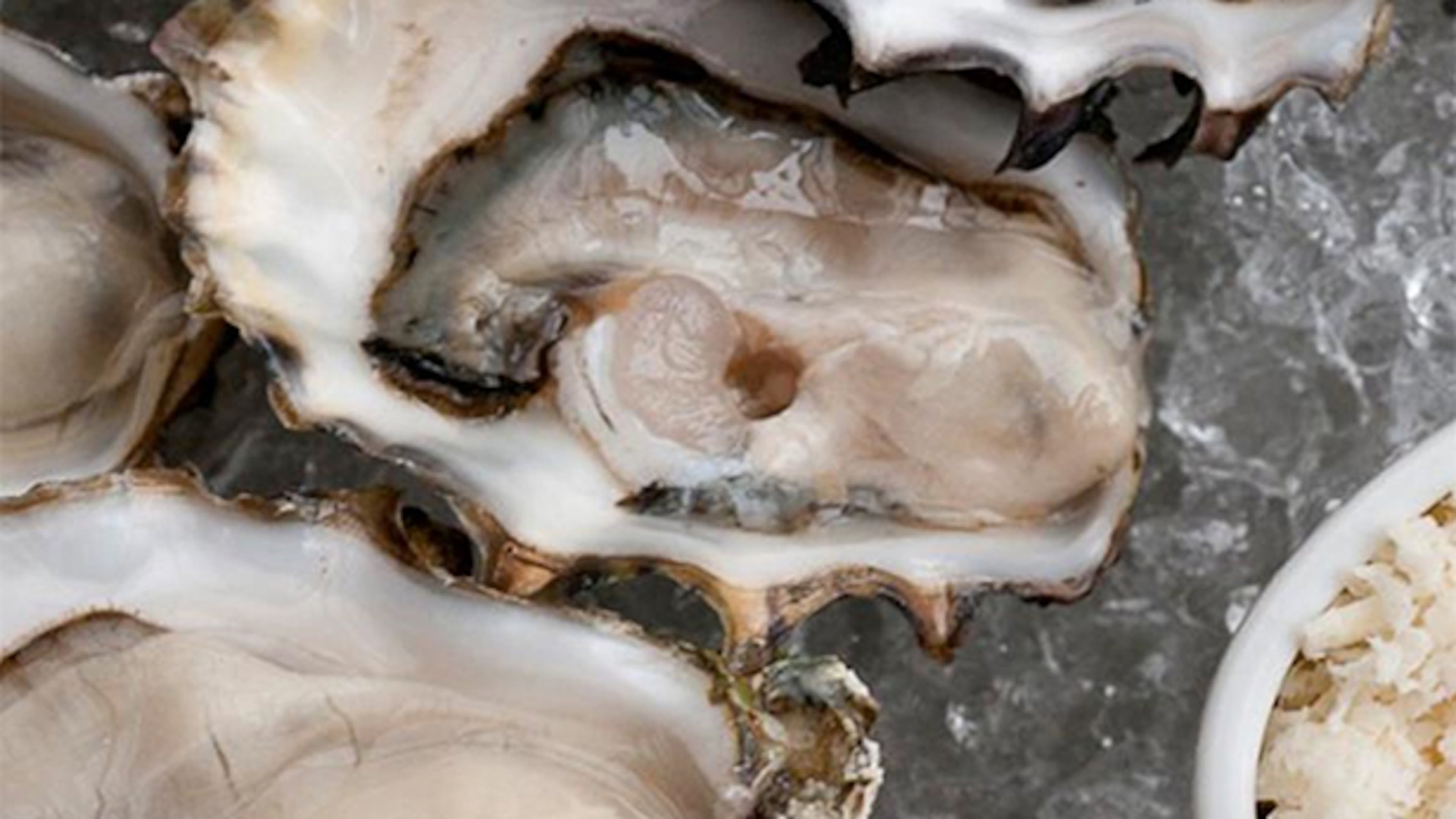 The Walrus and the Carpenter oyster bar in Ballard, The Whale Wins in Fremont, and Barnacle in Ballard – all part of the Sea Creatures company – are the restaurants swapping tips for the service fee.