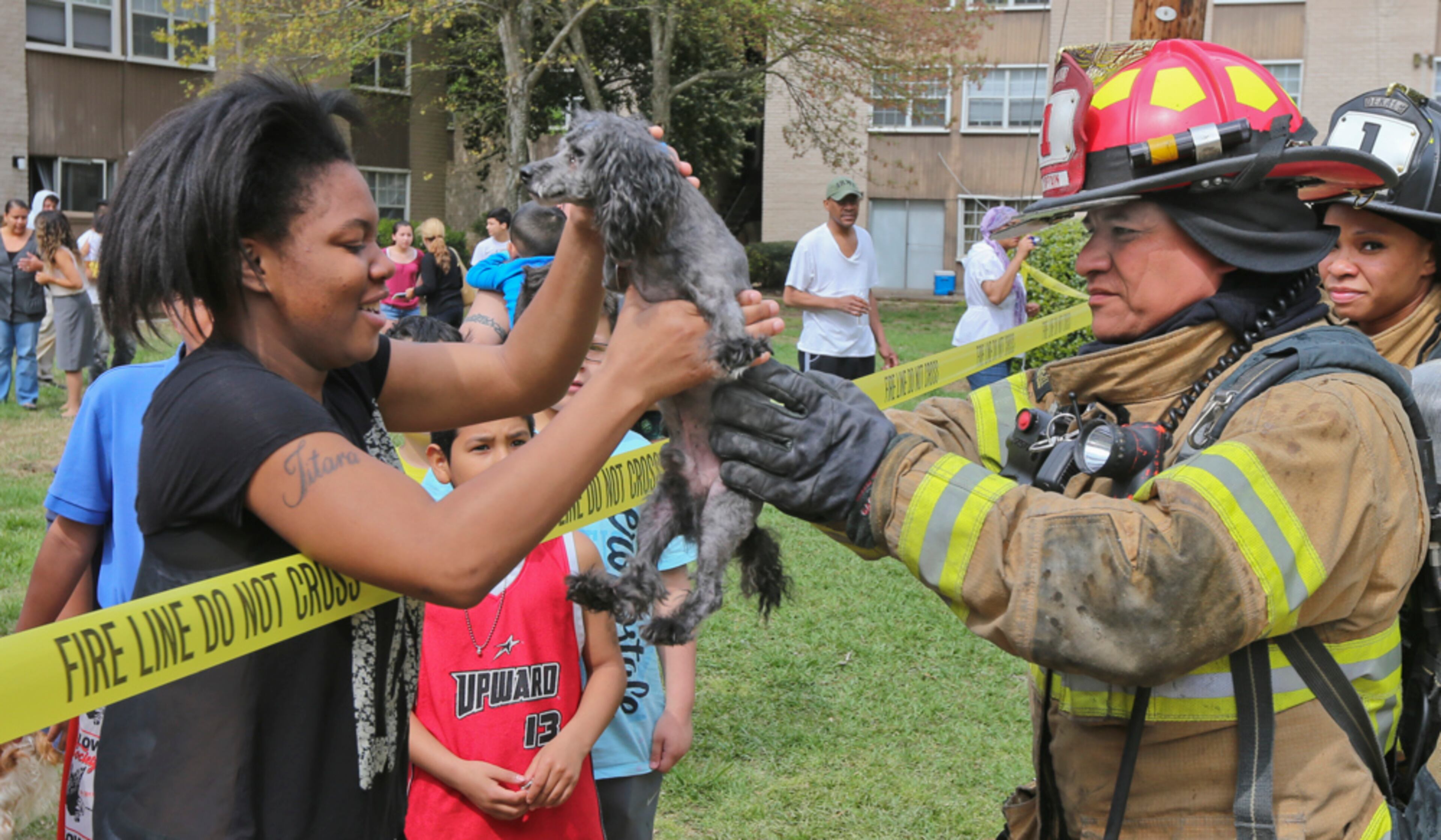 2 ALARM RESCUE--April 11, 2014 DeKalb County : Jitara Simmons said her brother was able to get one of the familiy's dogs, but their Yorkie Terrier, Diego, was still in the apartment. She was overjoyed when DeKalb firefighters brought the dog to her. Residents at an apartment complex on Buford Highway made harrowing escapes Friday during a 2-alarm fire that broke out around 10 a.m. DeKalb fire officials were called to the scene and told some residents had jumped from balconies while others may still be trapped. A 17-year-old babysitter said this is a spring break she will not forget. "This is a horrible spring break gift," said Jitara Simmons, of the DeKalb fire that broke out at the Terraces at Brookhaven apartment where she and her family live. The Cross Keys High School student said she was sleeping in her room when her brother woke her up screaming, "It's a fire! It's a fire!" "I grabbed the little kids I was babysitting for the weekend and we ran out of the house," she said. "The next thing you know flames were everywhere." Chuck Larry, who works at the complex, said he caught a man who was dangling from a window and rescued two girls from an apartment. Larry said he grabbed a ladder from the maintenance department and helped the two trapped girls escape. "It was just instinct," Larry said of his actions. Fire officials said no one was transported to the hospital that 5 people received minor injuries and were treated at the scene. The cause of the fire is under investigation. JOHN SPINK/JSPINK@AJC.COM