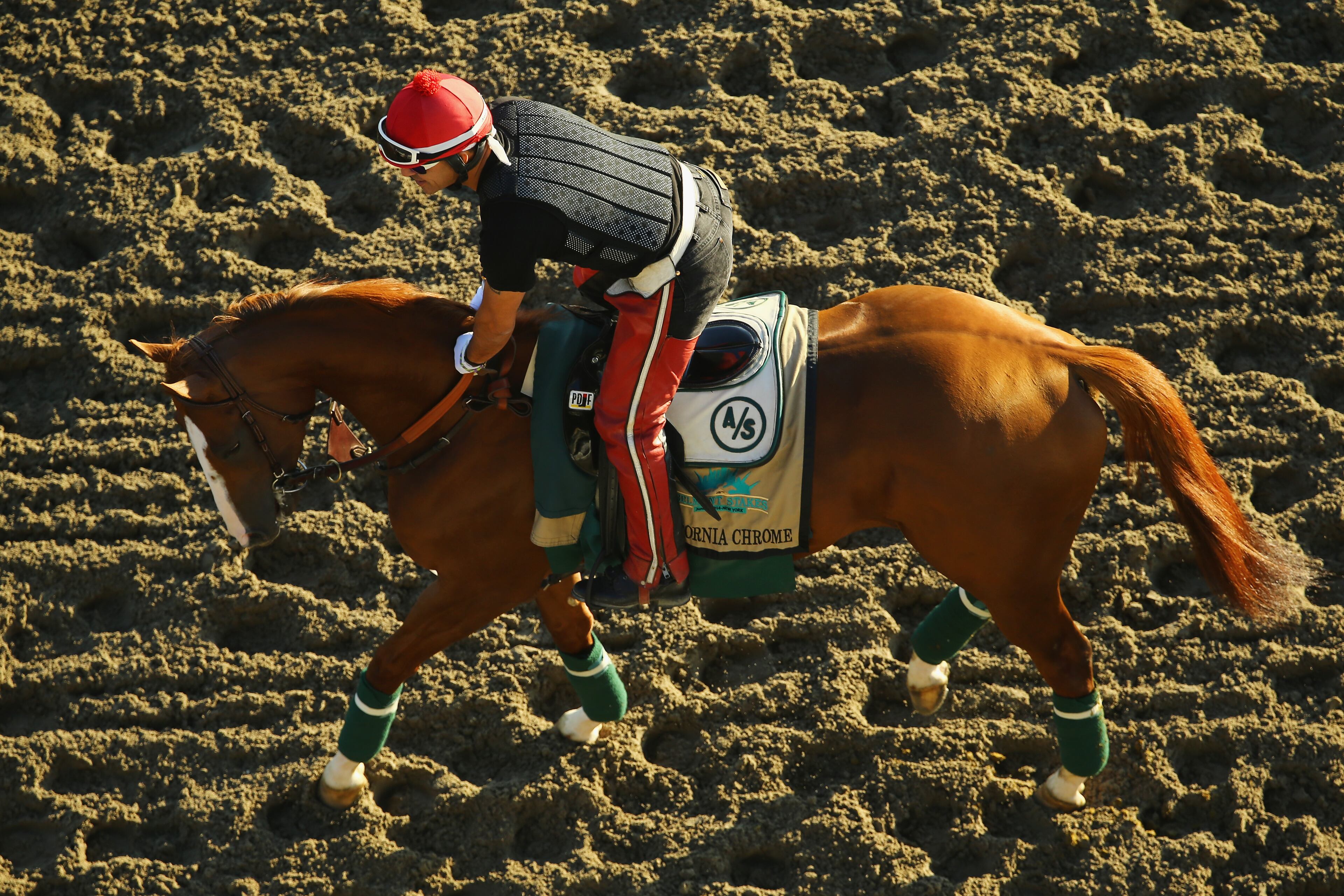 ELMONT, NY - JUNE 06: Kentucky Derby and Preakness winner California Chrome, with exercise rider Willie Delgado up, trains on the main track at Belmont Park on June 6, 2014 in Elmont, New York He is scheduled to race for the Triple Crown in the 146th running of the Belmont Stakes (Photo by Al Bello/Getty Images)