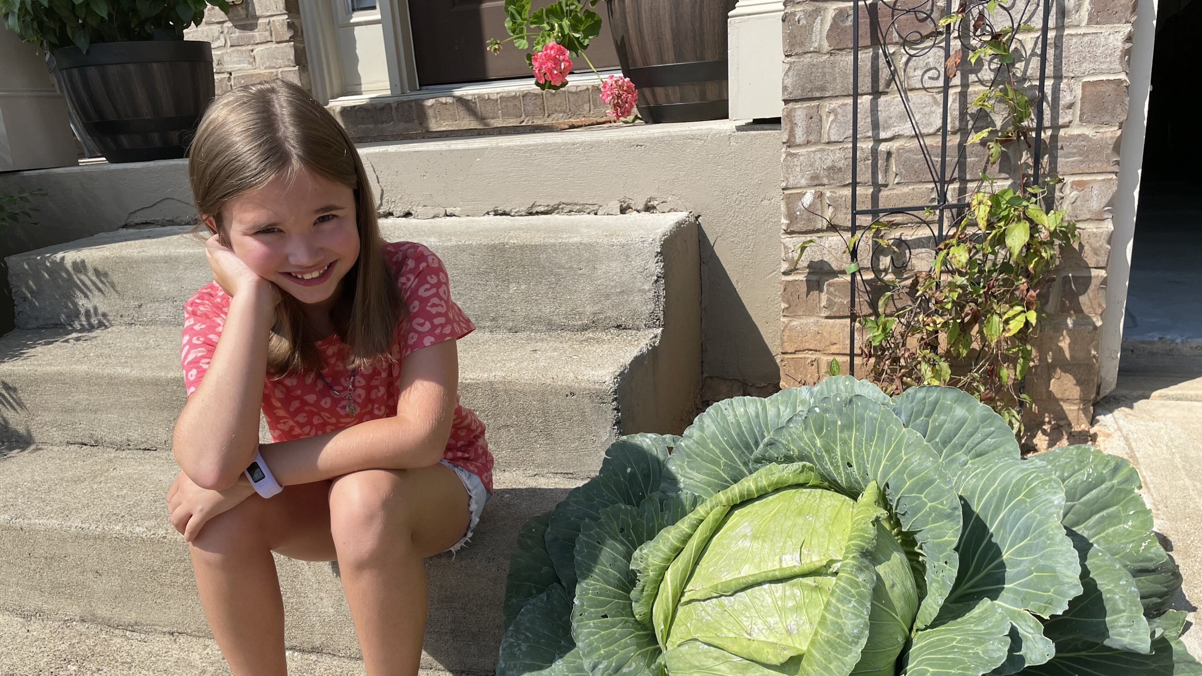 Addy Lefevre of Canton grew Georgia's nicest cabbage in a contest sponsored by Alabama-based Bonnie Plants. Photo: courtesy Daniel Lefevre