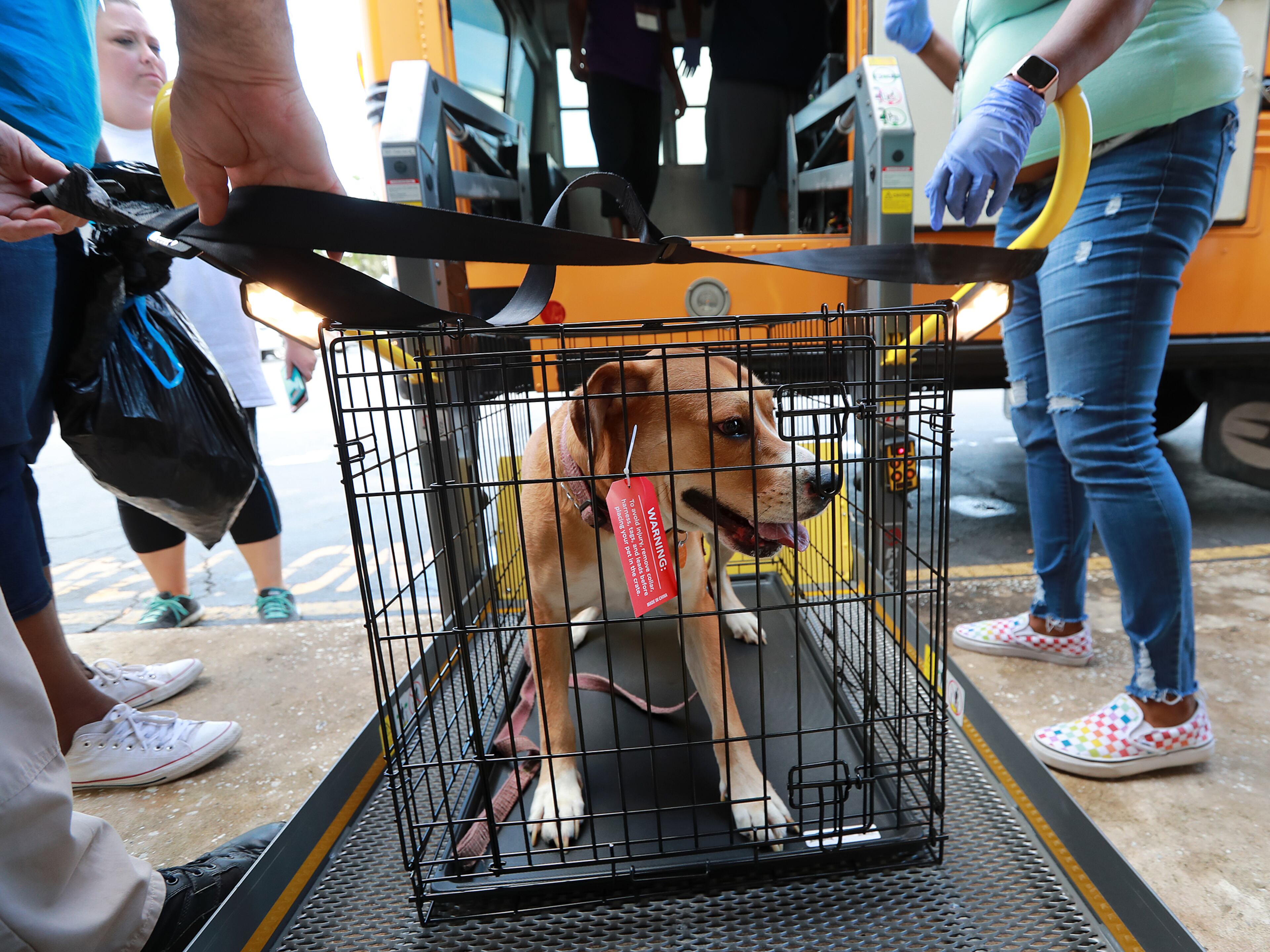 September 2, 2019 Brunswick: A dog named Chick is loaded on a bus by emergency workers as he evacuates with his owner Leonard Baker along with hundreds of other local residents at Lanier Plaza under mandatory evacuation ahead of Hurricane Dorian for a inland shelter in Columbus on Monday, Sept. 2, 2019, in Brunswick. Curtis Compton/ccompton@ajc.com