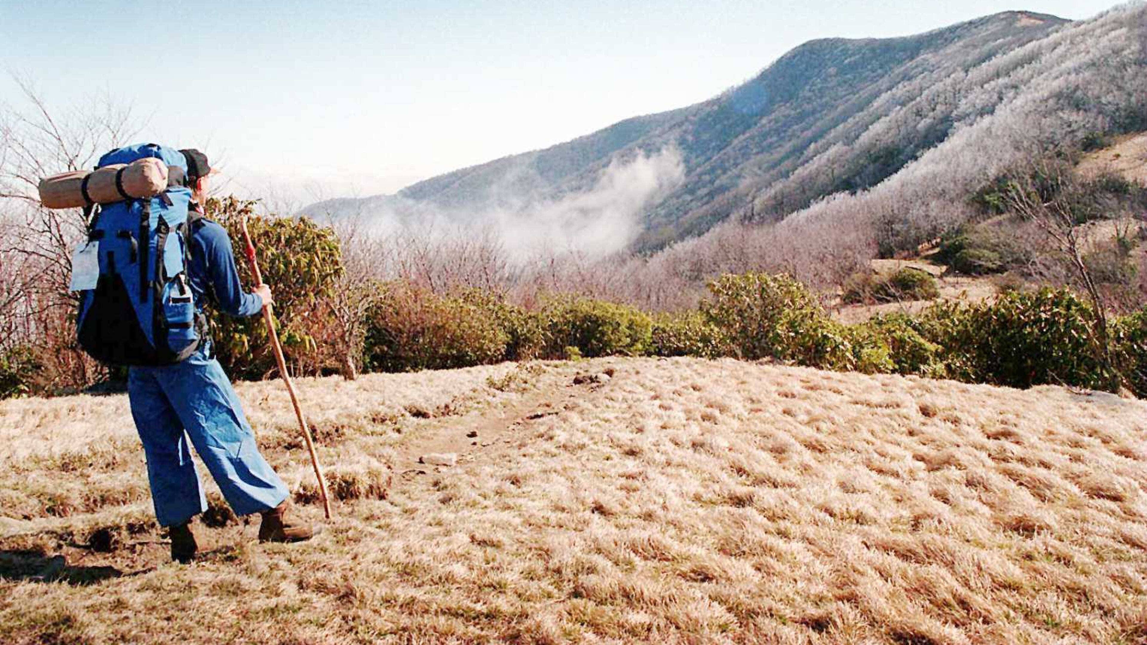 Mountain peaks rise above Spence Field in the Great Smoky Mountains National Park. Hikers on the Appalachian Trail will travel along the high altitude spine of this park on their way from Georgia to Maine. Photo: Chris Hunt