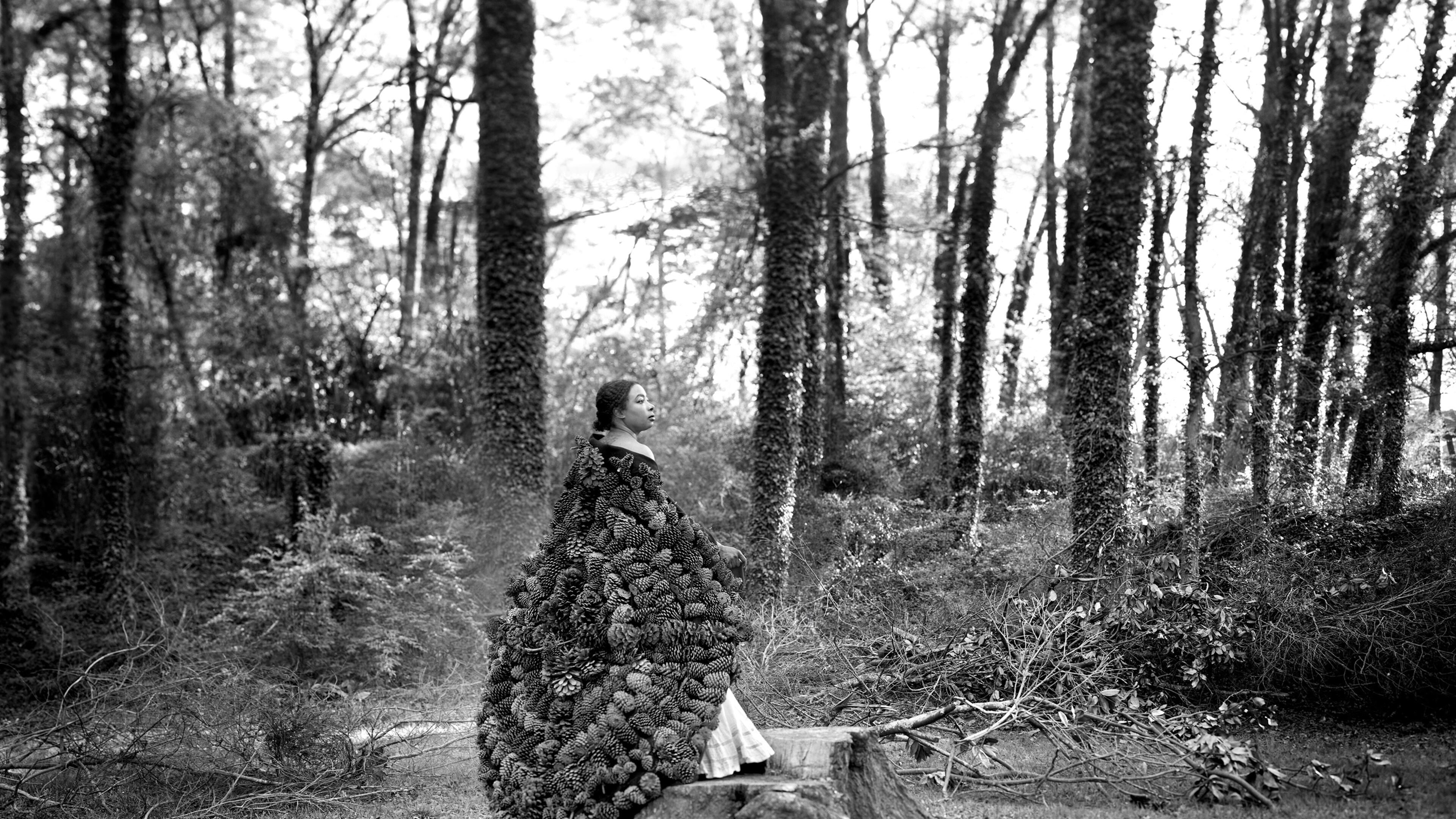 Dorothy O'Connor's "Blanket of Pinecones" (2025) is included in the 11th annual "Art of Nature" exhibition at Blue Heron Nature Preserve in north Buckhead. (Courtesy of Blue Heron Nature Preserve)