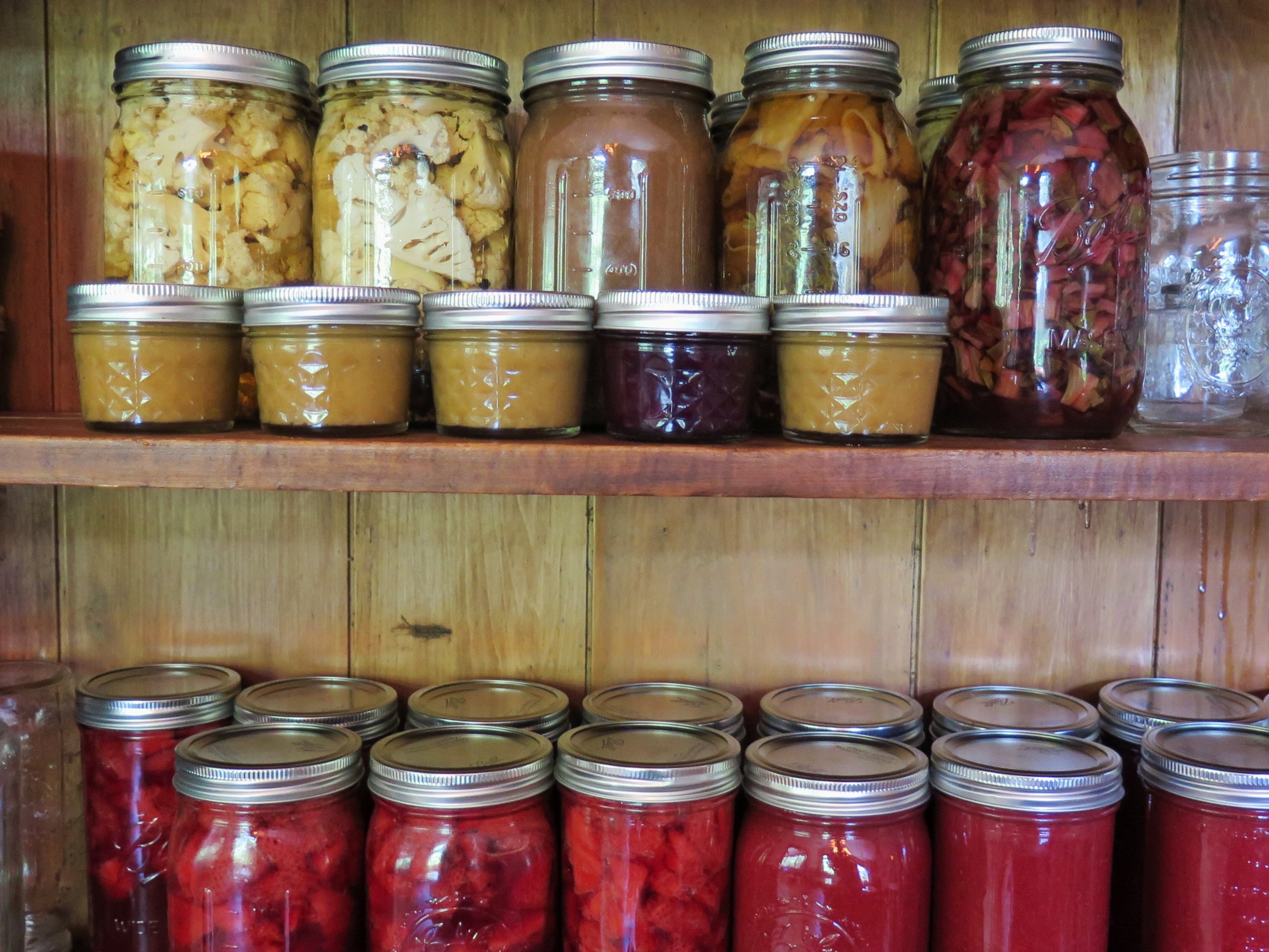 Photo by Ryan Pernice