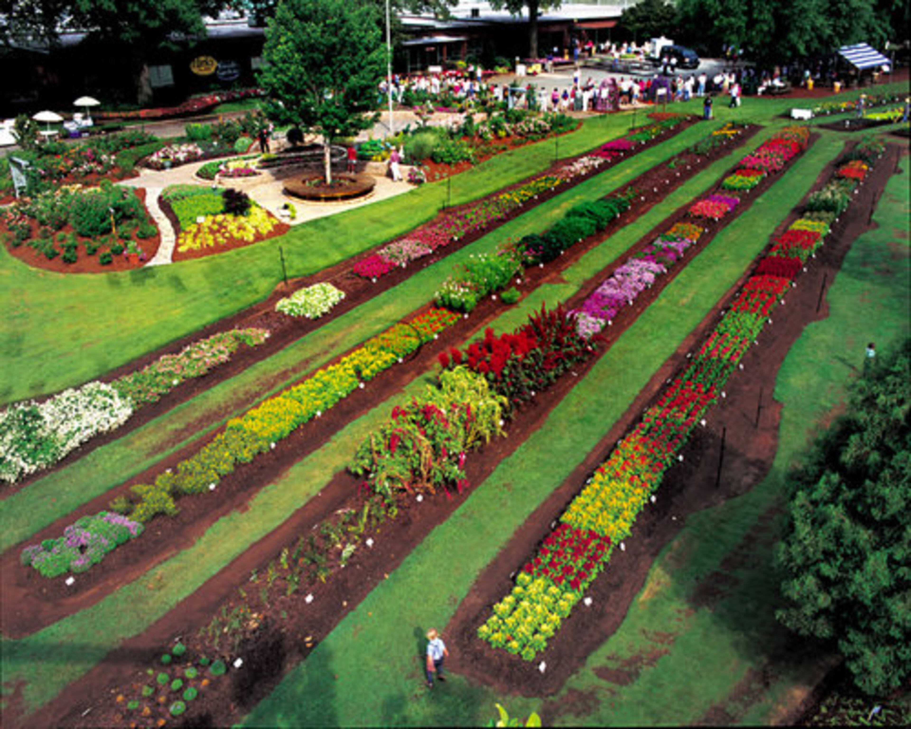 South Carolina's Festival of Flowers is a longtime state tradition. Held in Greenwood in June, the Park Seed Company, known for their trial gardens will be open to the public. In addition to enjoying the flowers and gaining gardening knowledge, there is also live music, children's activities and sporting events.