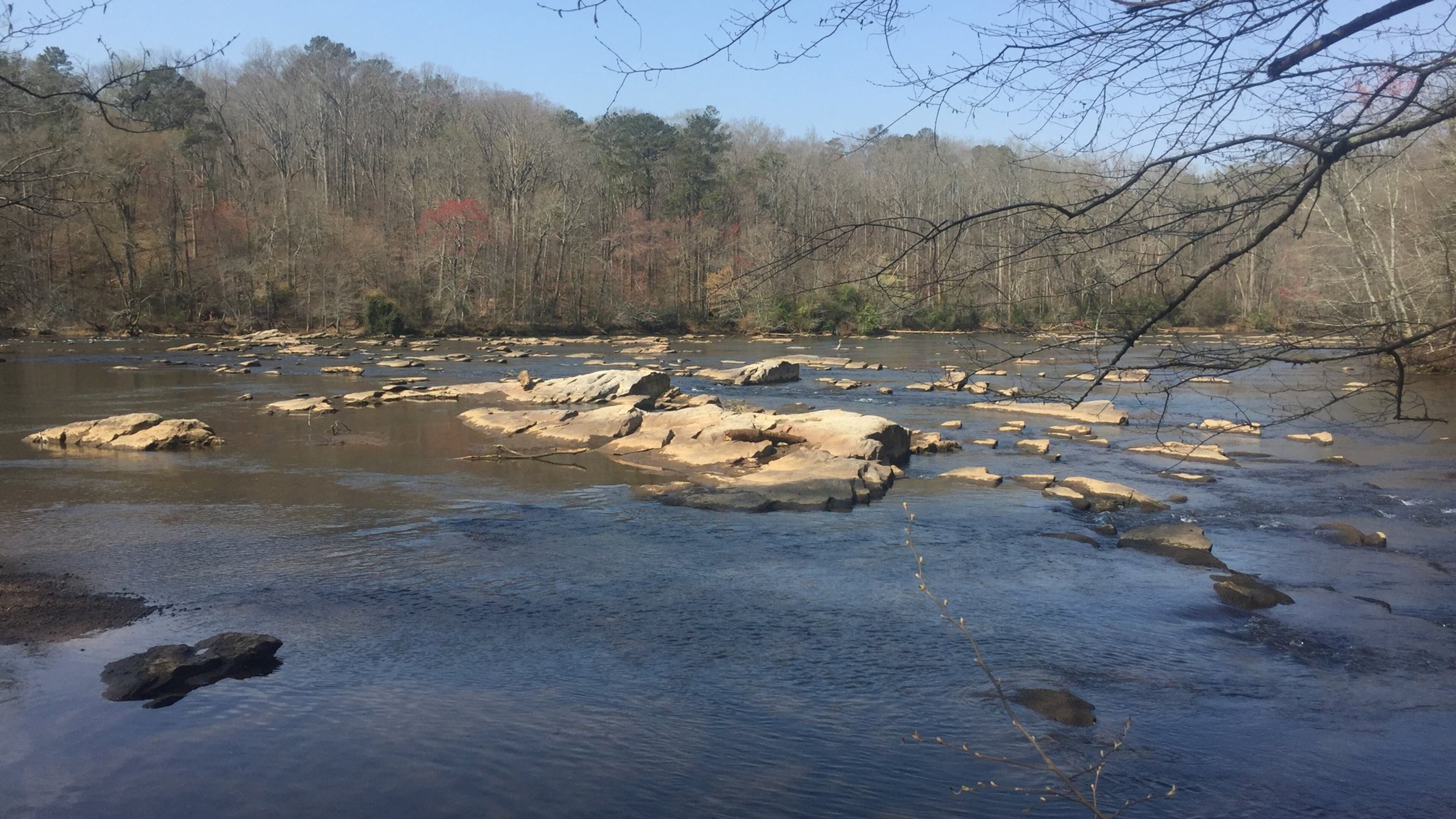 Jim Daugherty took this photo during a spring bike ride near the Chattahoochee River on Martin’s Landing, a planned community of 1,030 acres nestled between the north bank of the Chattahoochee River and Holcomb Bridge Road within the city limits of Roswell, Georgia. It consists of 1,964 homes within 12 subdivision communities consisting of single family homes, patio homes, condominiums, town homes, and apartments.