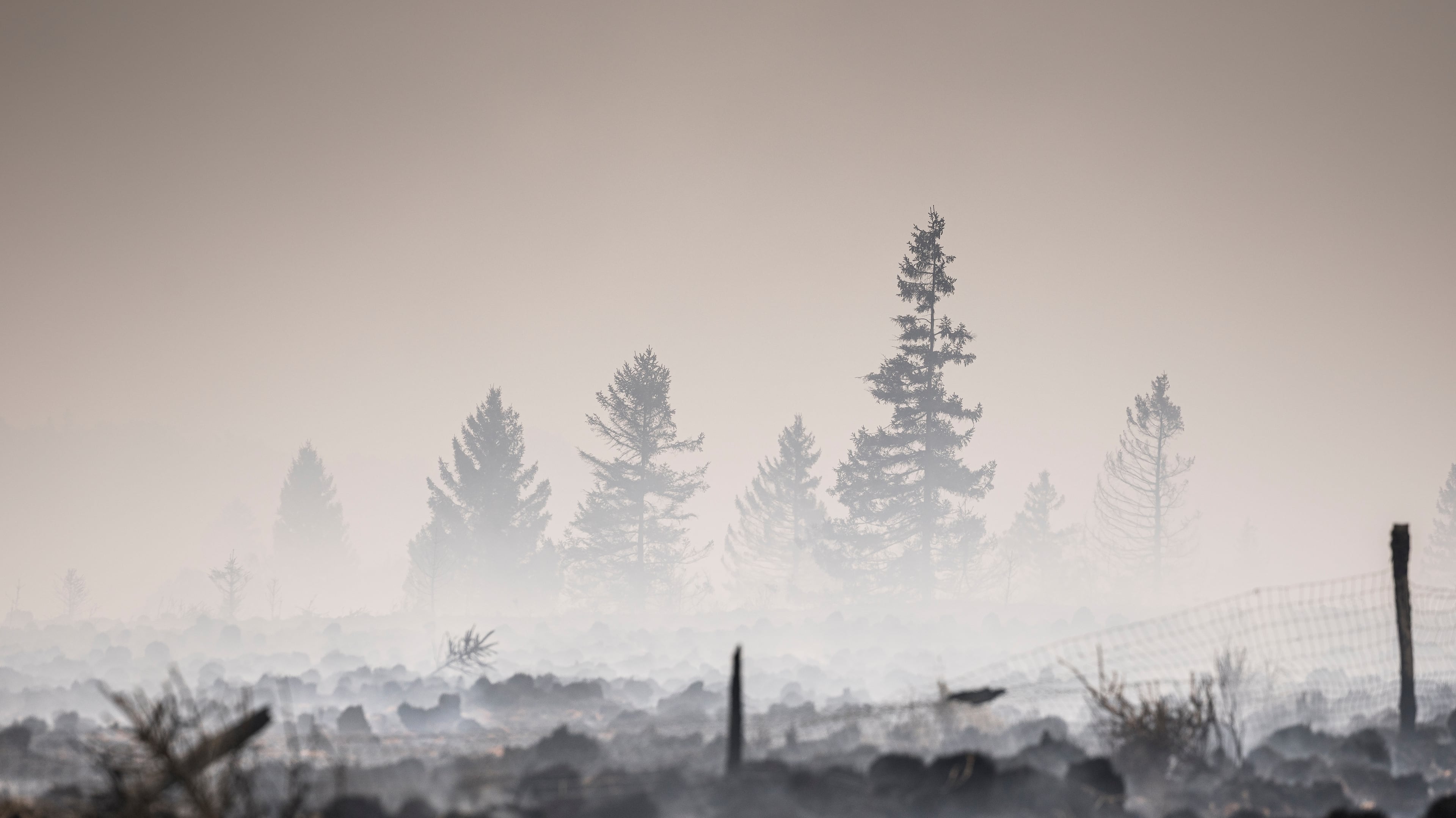 Smoke rises from a scorched field as a wildfire burns near Waimes, Belgium, Monday, Aug. 17, 2026. (AP Photo/Valentin Bianchi)