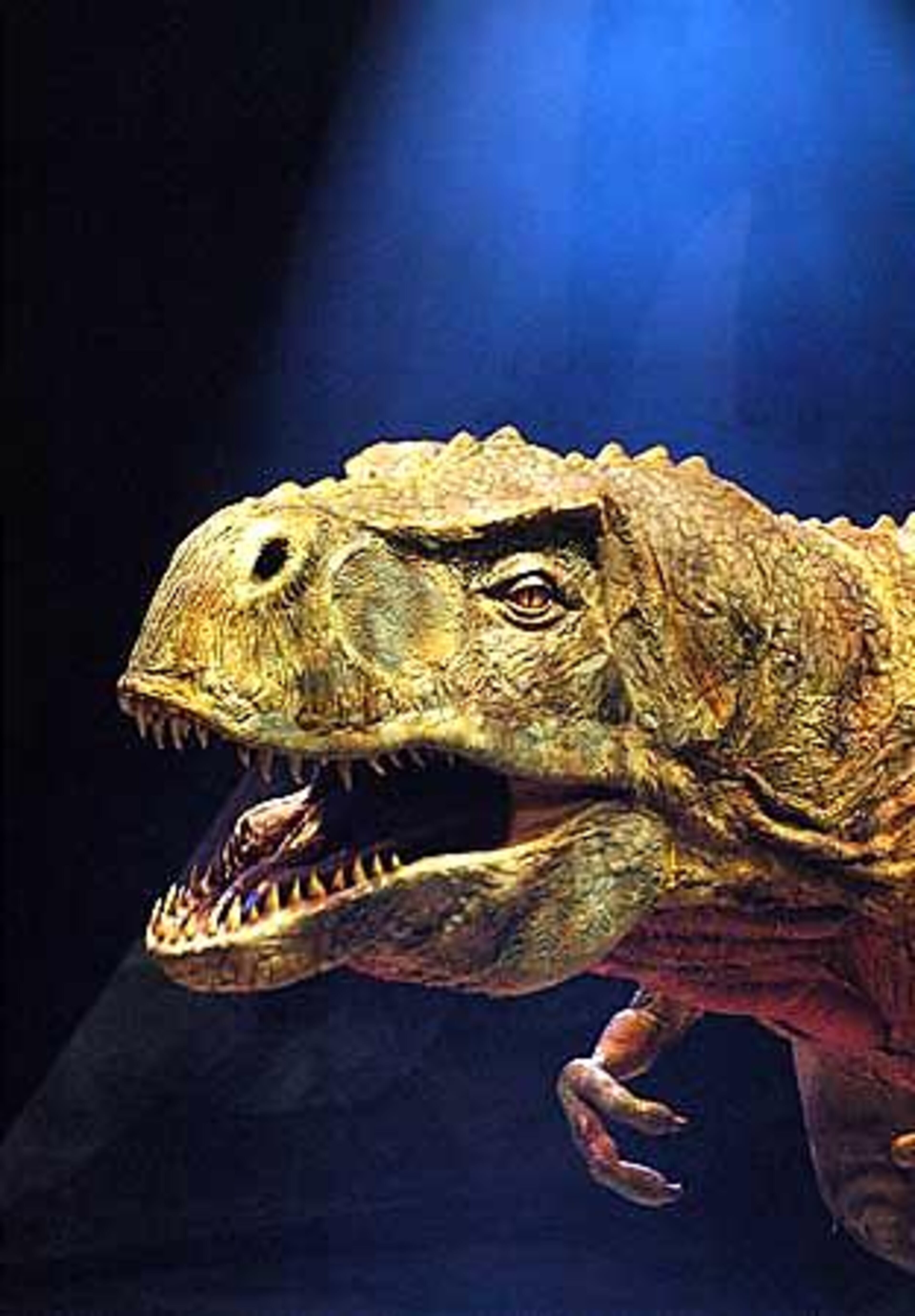 A Tyrannosaurus Rex lets out a growl.