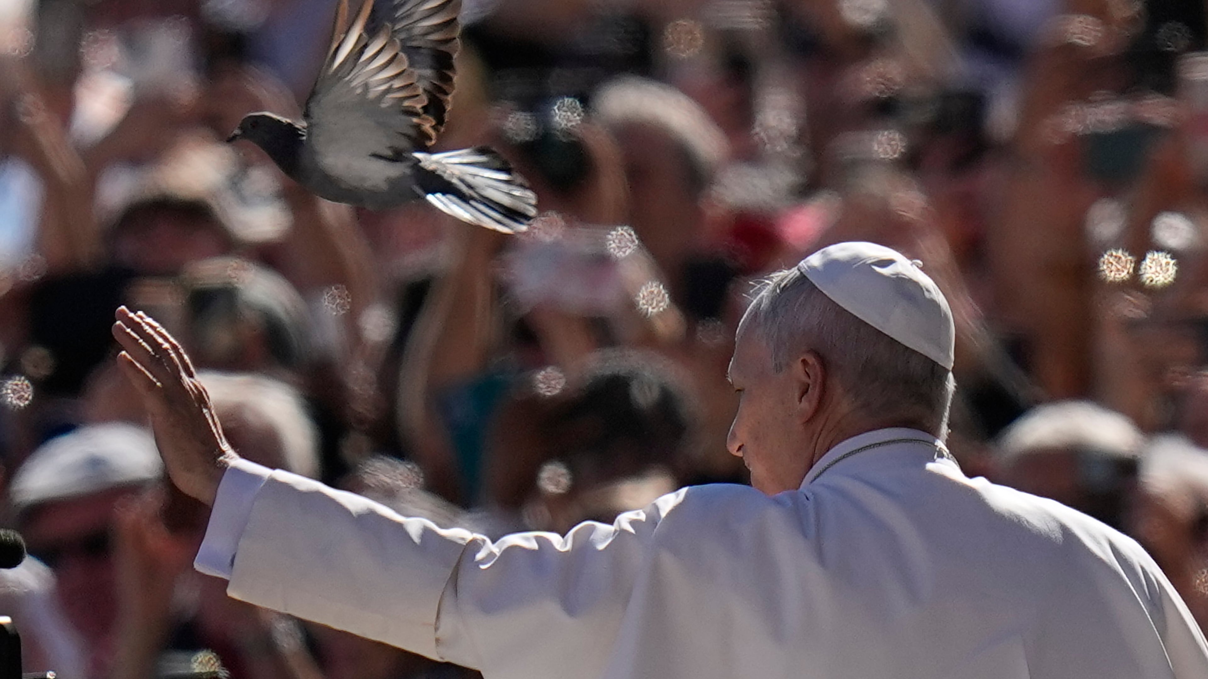 A pigeon flies past Pope Leo XIV as he arrives for his weekly general audience in St. Peter's Square, at the Vatican, Wednesday, Sept. 23, 2026. (AP Photo/Alessandra Tarantino)