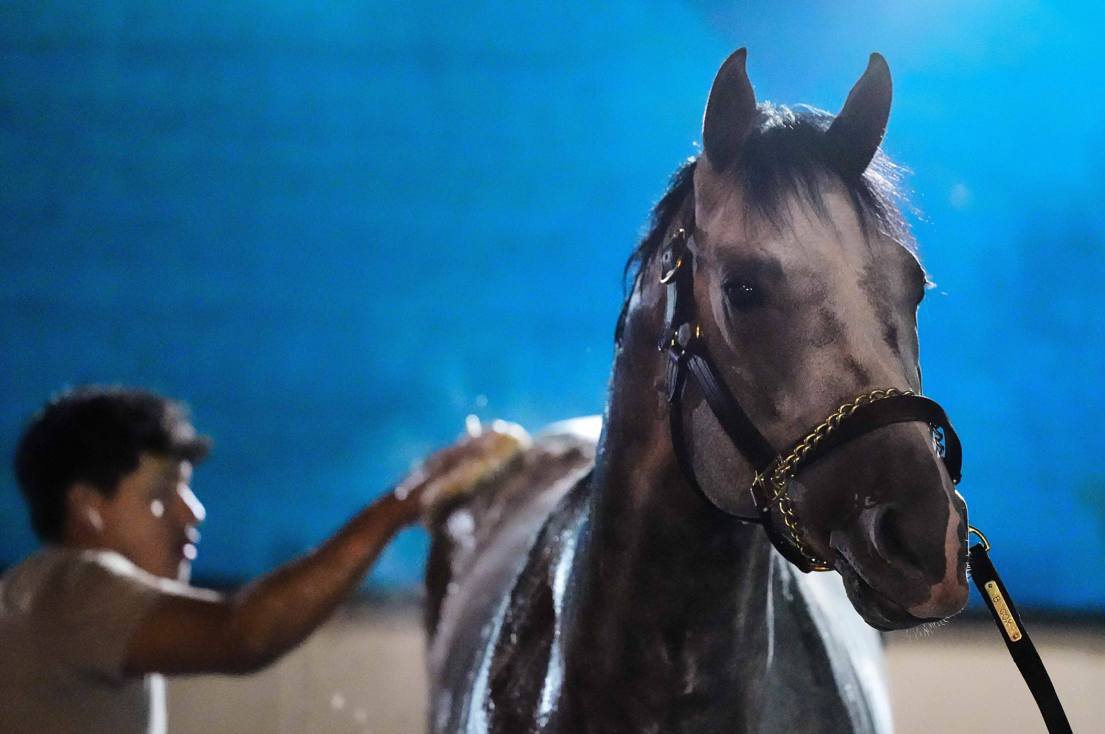 Kentucky Derby Horse Racing