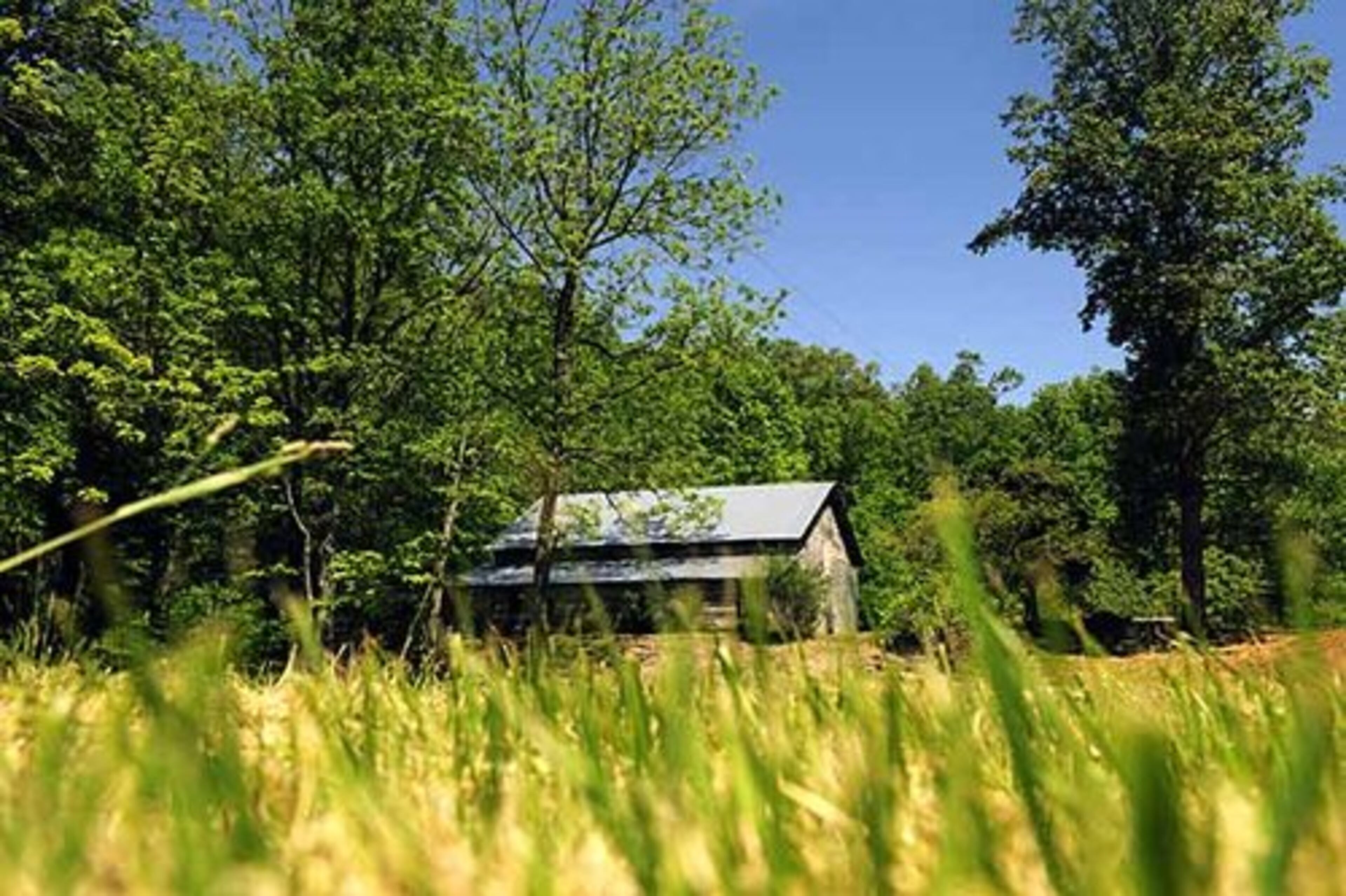 A nonprofit group has acquired Reece's house, barn and 9 acres of his family farm near Blairsville, which it is transforming into a living museum.