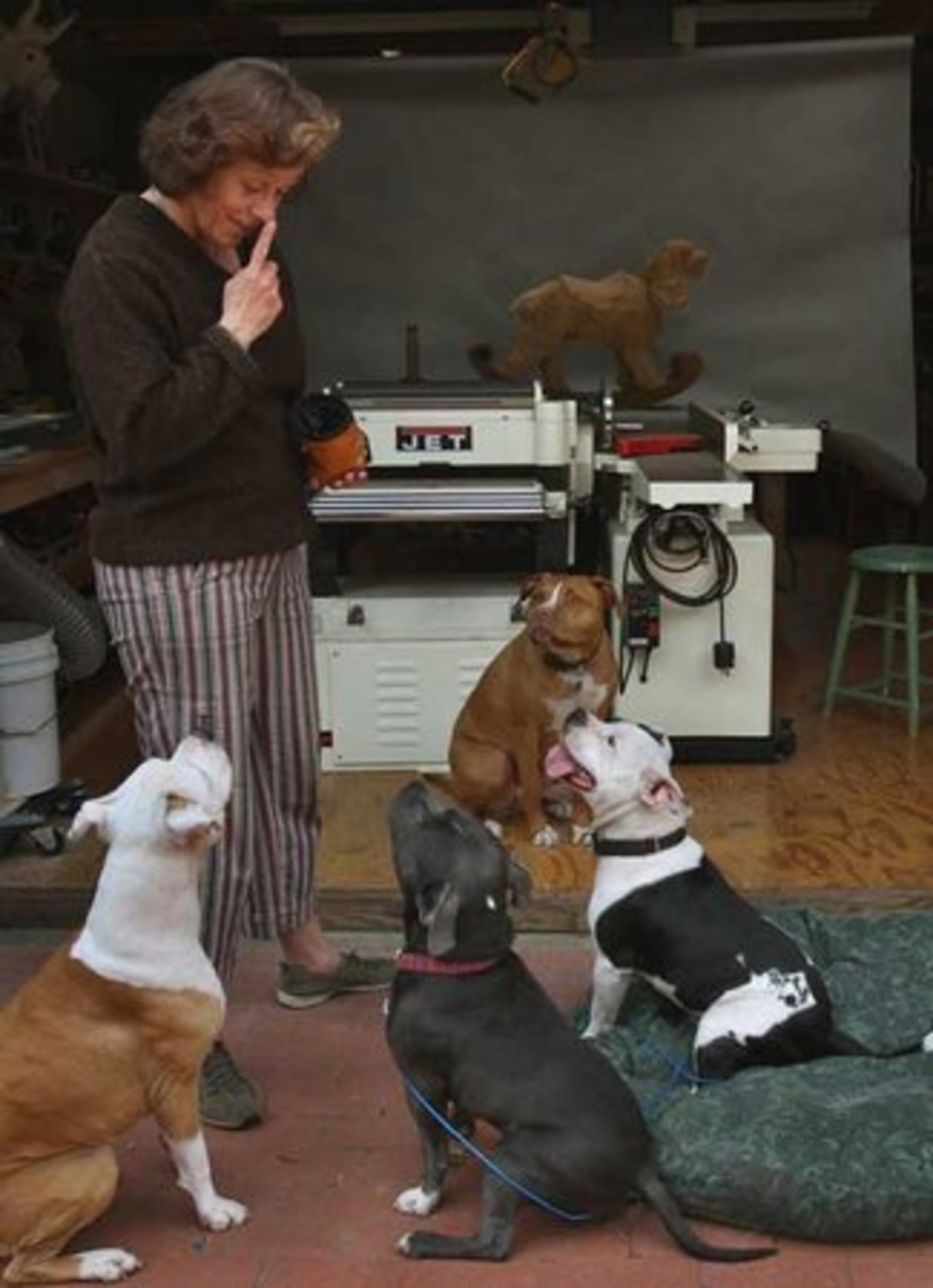 Jonny Justice, right, was among those sent to foster care with Donna Reynolds and Tim Racer, founders of BAD RAP (Bay Area Doglovers Responsible About Pit bulls) for rehabilitation. Eventually, his training may help break breed stereotypes.