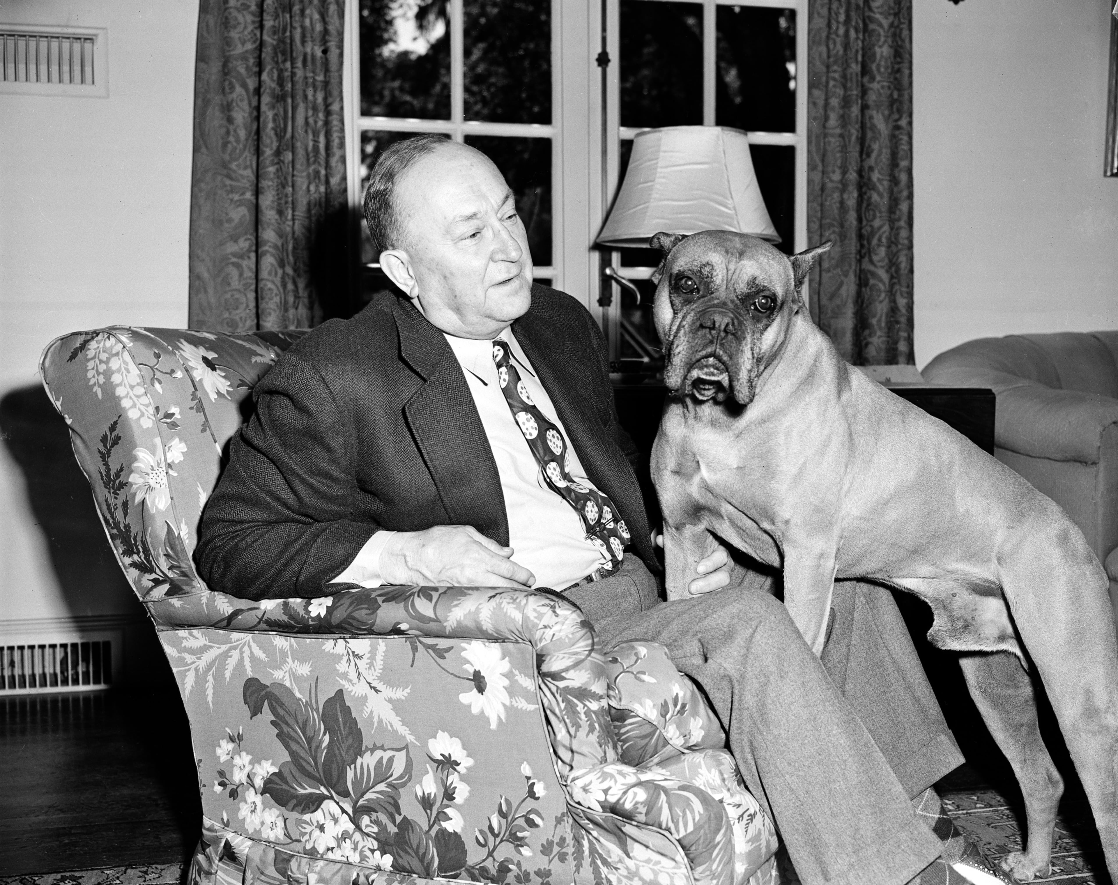 American baseball player Ty Cobb is shown with his boxer Chud at his estate in Atherton, Ca., May 17, 1951.