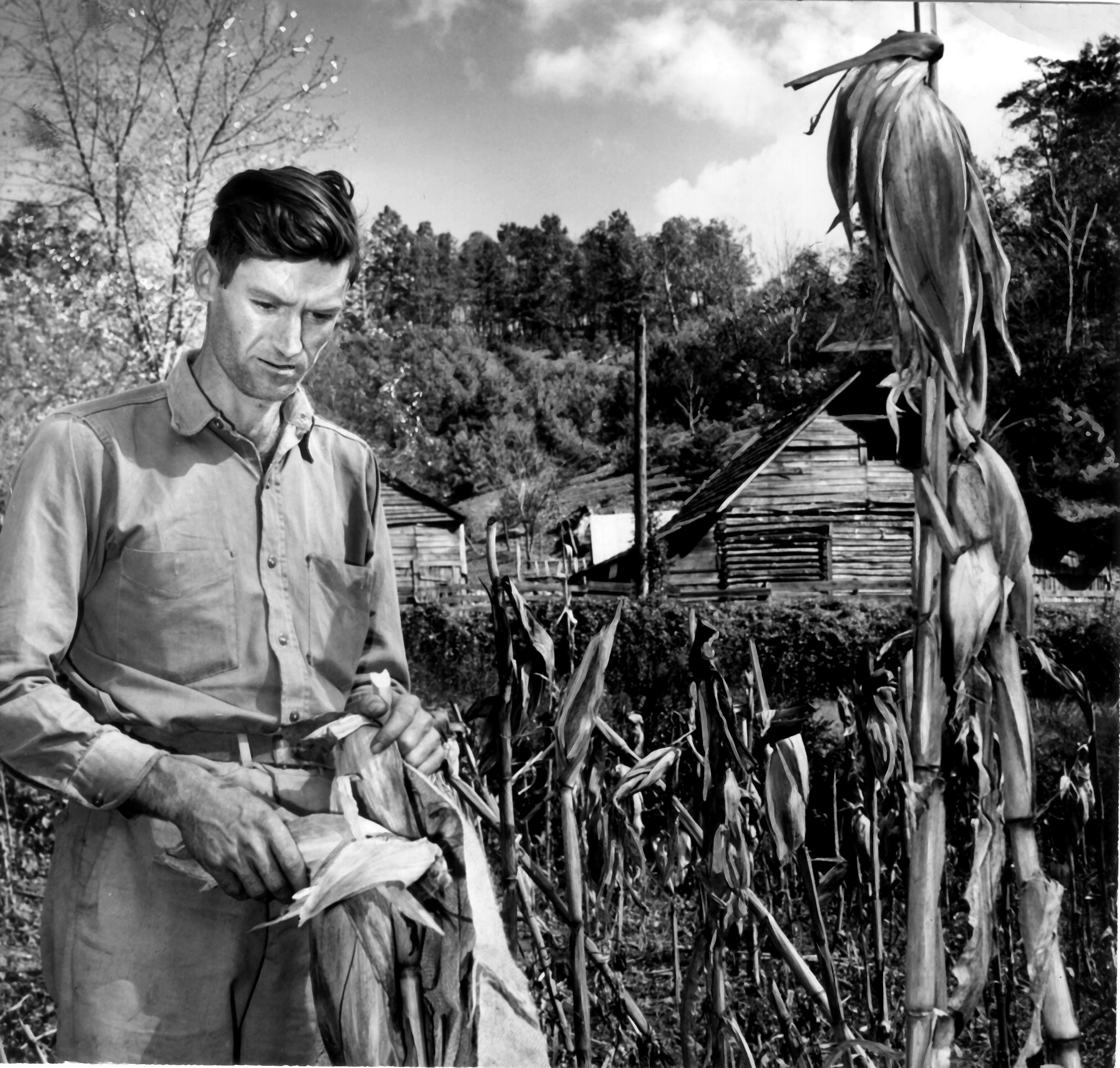 "Byron Herbert Reece earned a Pulitzer nomination but never left his farm near Blairsville, where, despite acclaim for his lyric poetry, he continued to grow potatoes and corn, partly from economic necessity and partly from inclination."