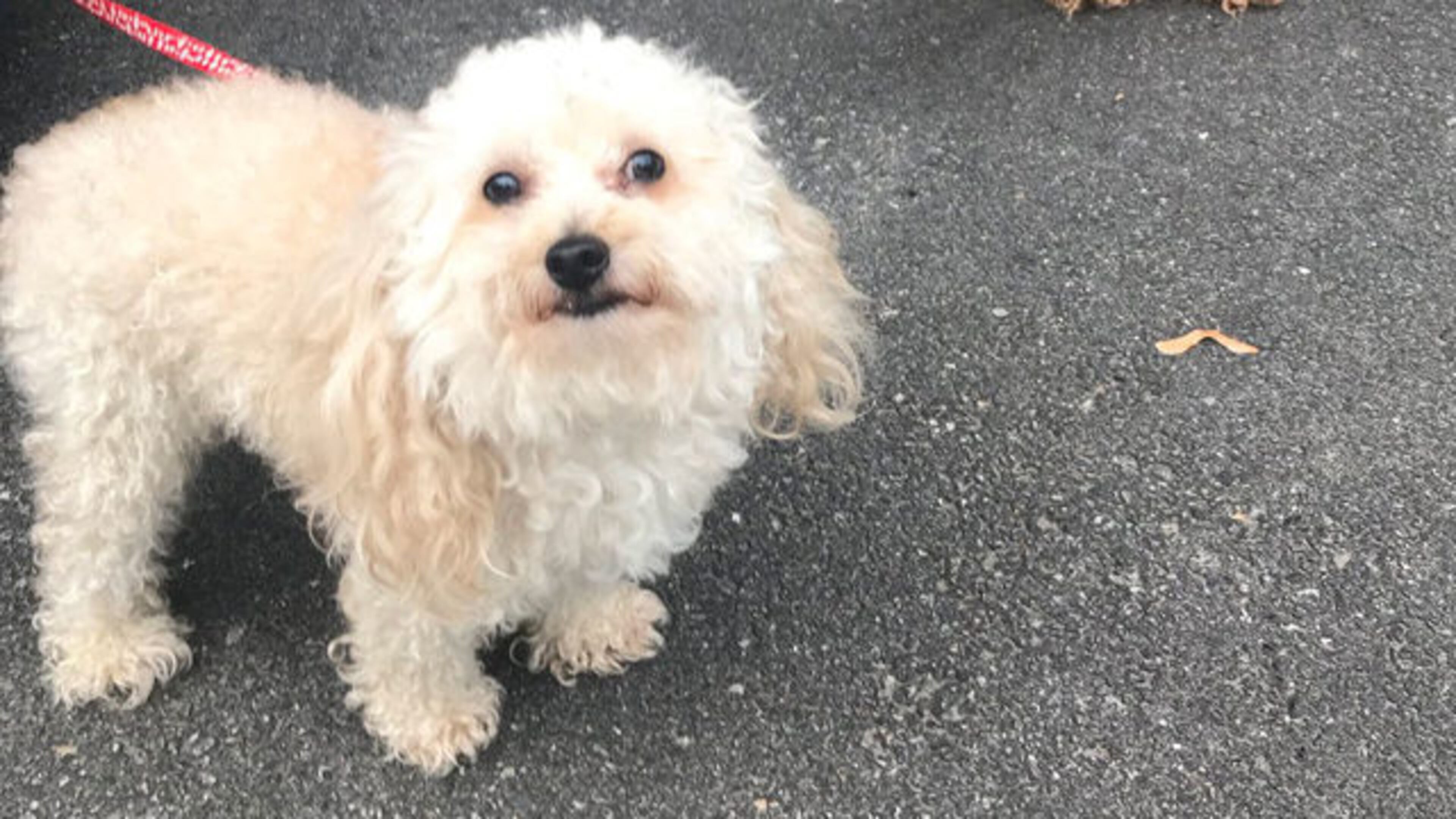 Divi woke up his family after their home caught fire.