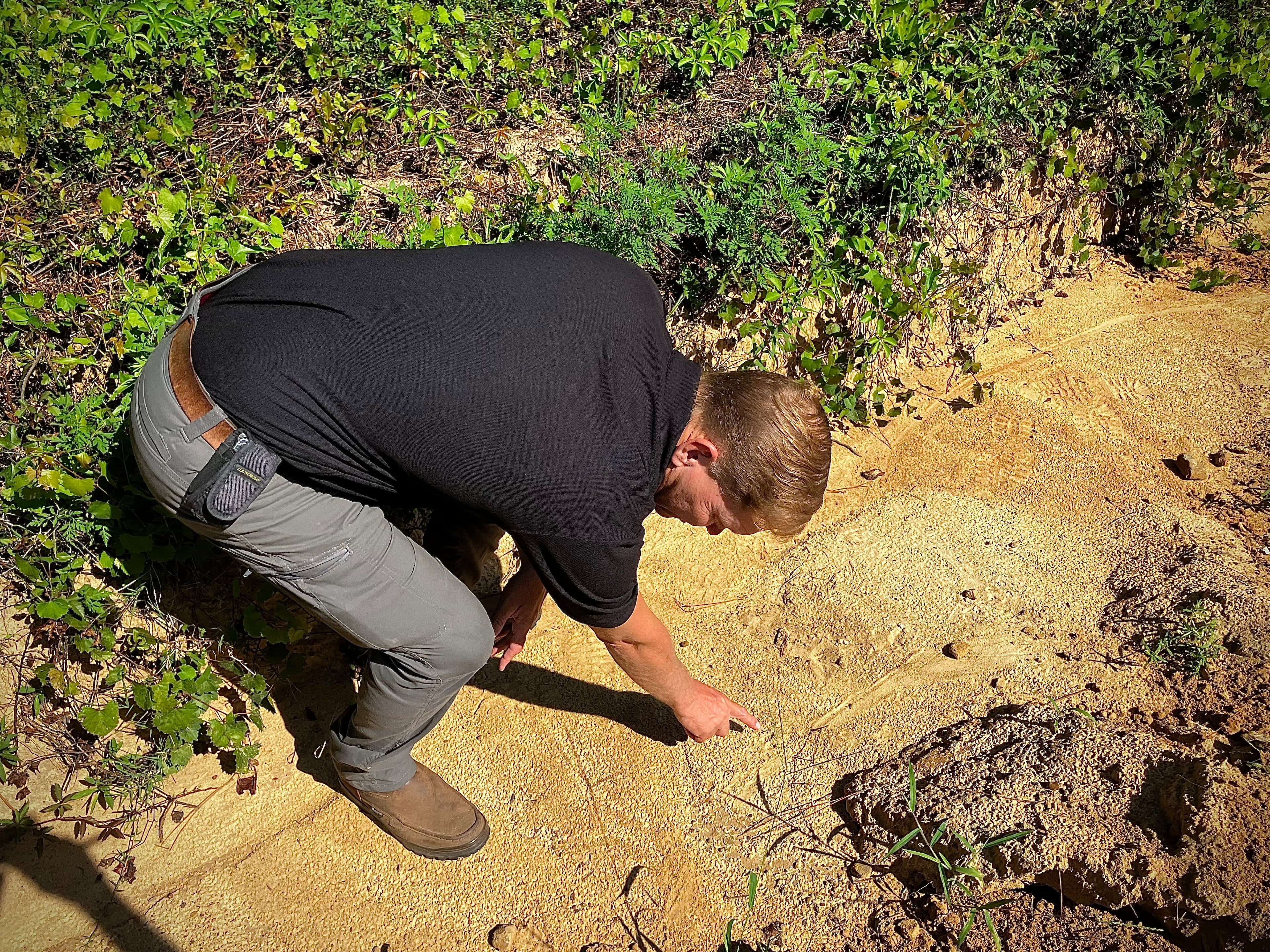 Jim Gillis has learned to identify the distinct track left by tegus. This track turned up in a Tattnall County ditch. (Mark Davis for the AJC)