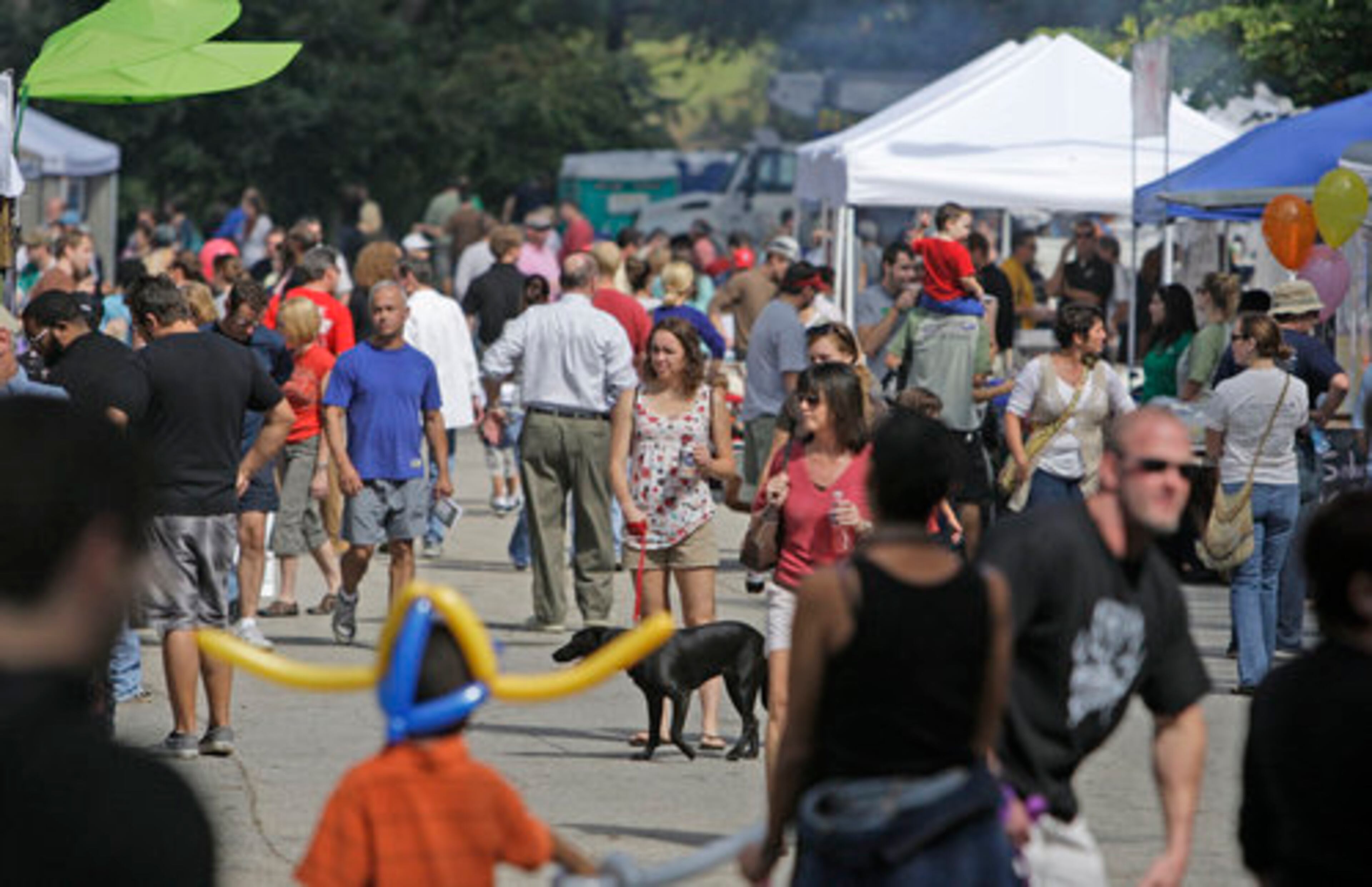 The warm and sunny weather brought a steady stream of visitors to the festival.