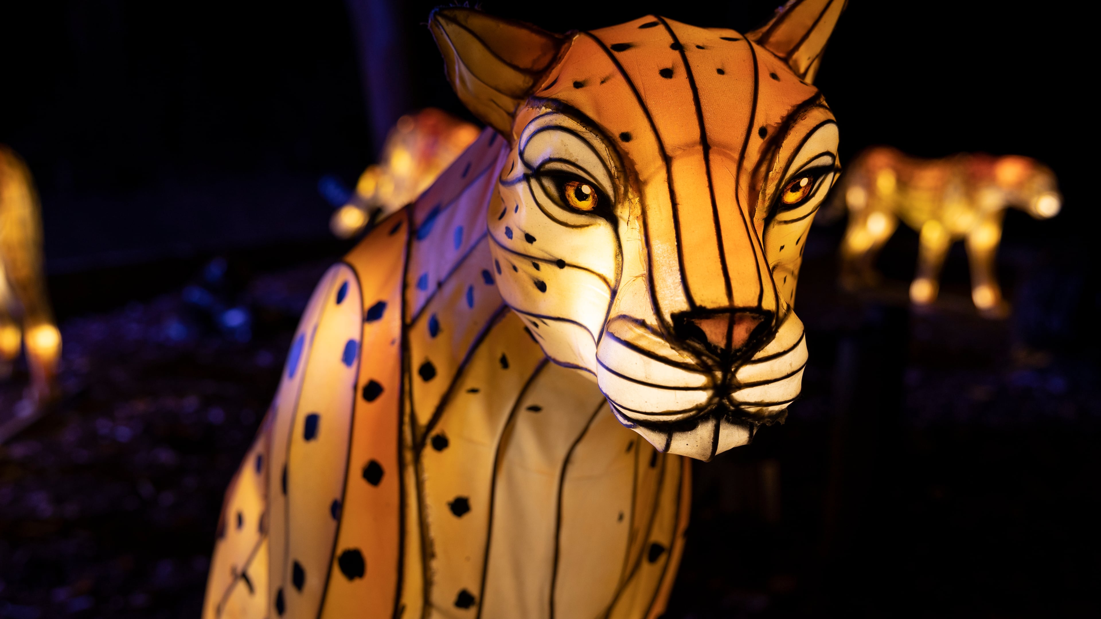 IllumiNights at the Zoo: A Chinese Lantern Festival