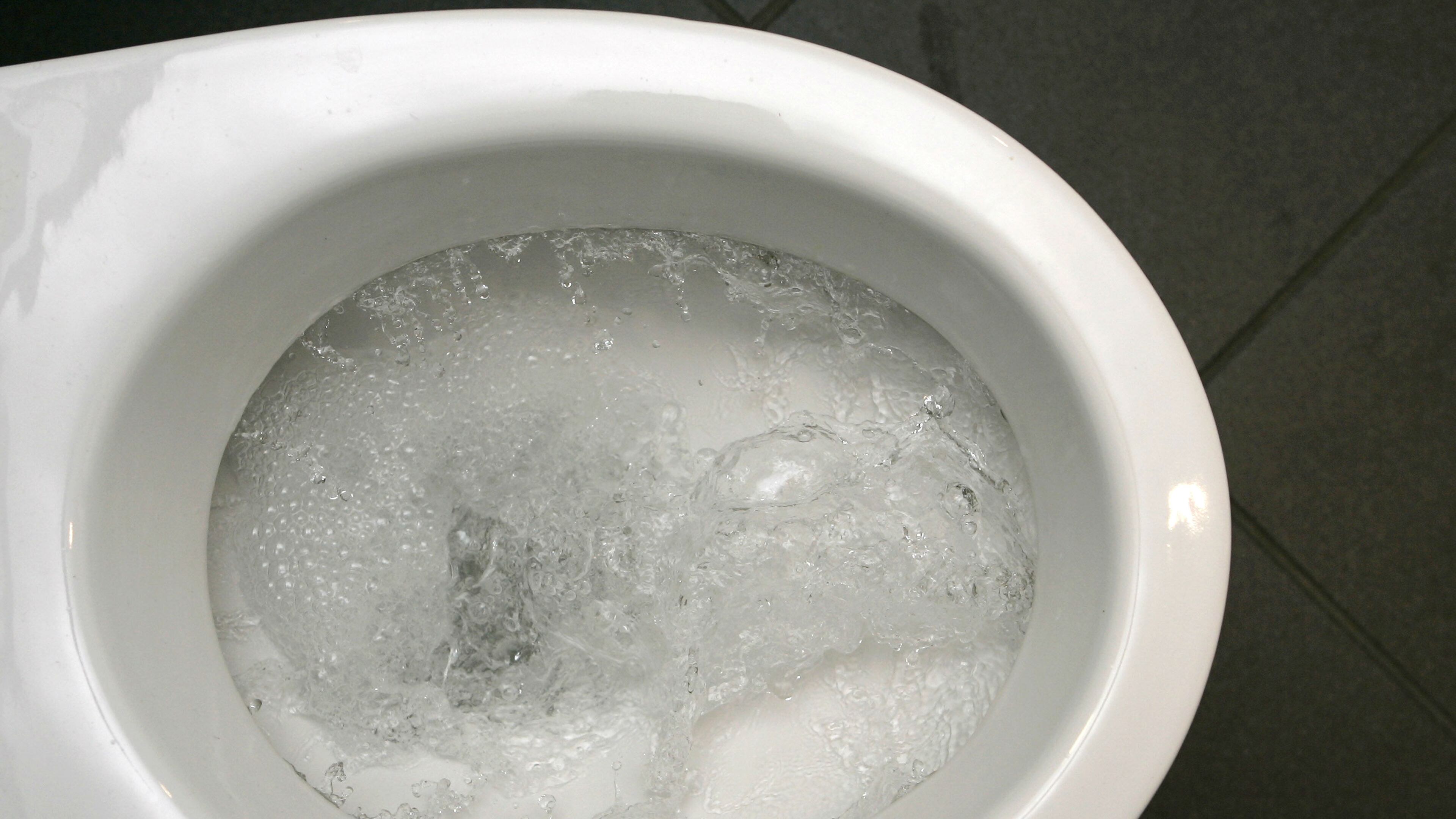 Water swirls in a flushing toilet.