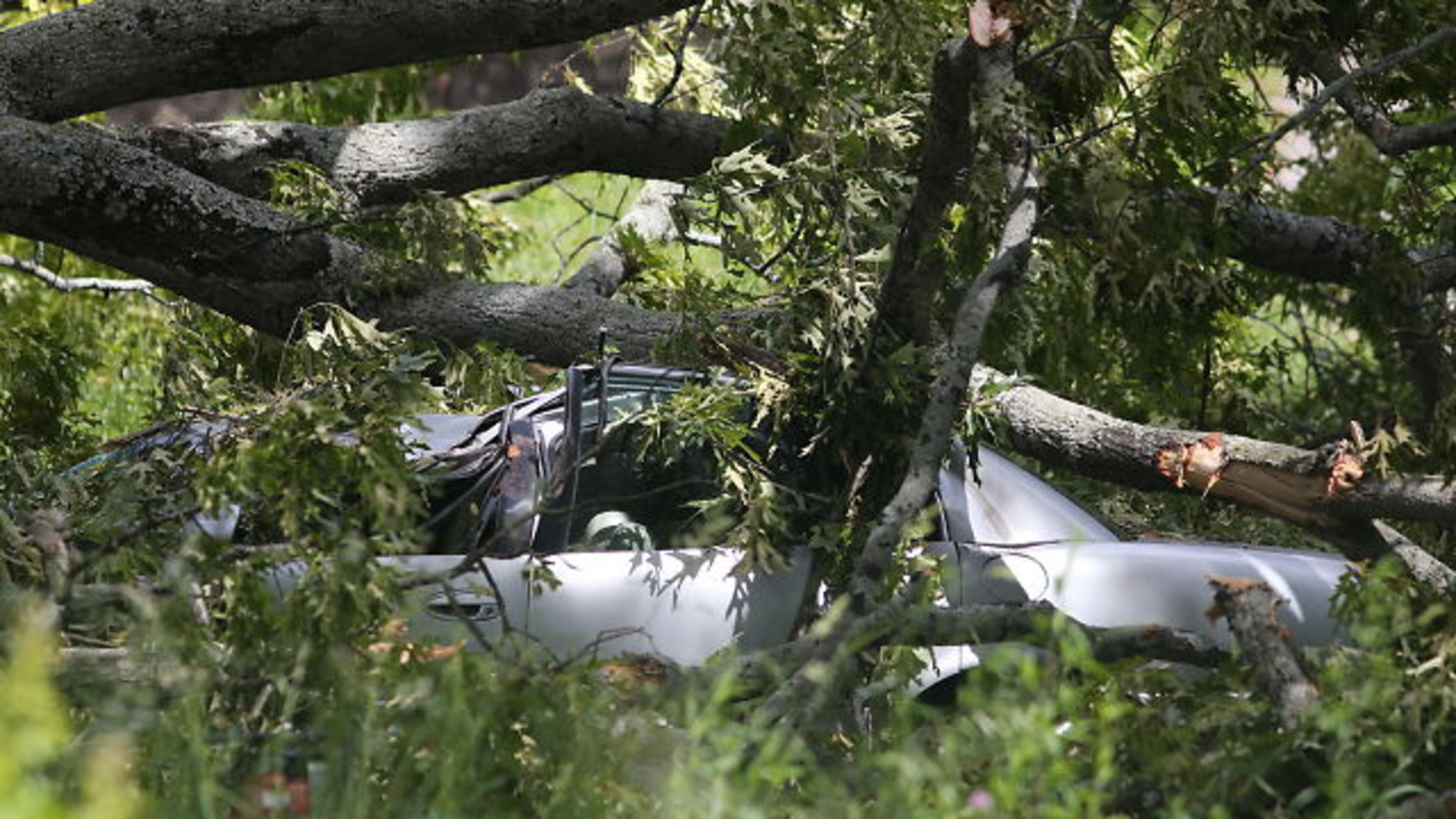 A tree fell onto power lines and a vehicle in northwest Atlanta. At least two people are inside the vehicle, an Atlanta Fire Rescue spokesman said. BEN GRAY / BGRAY@AJC.COM