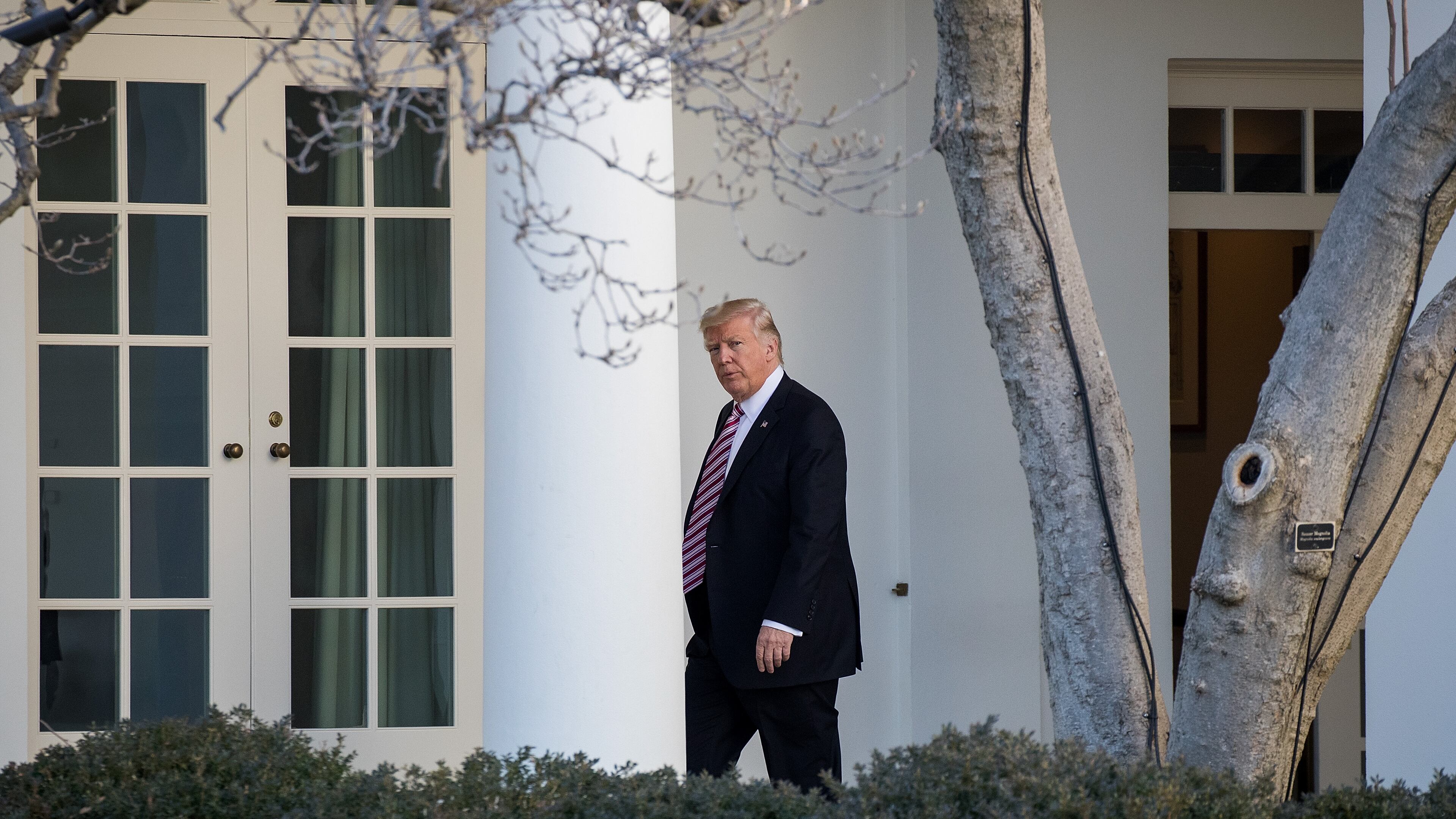 WASHINGTON, DC - JANUARY 26: Upon returning from Philadelphia, U.S. President Donald Trump walks along the West Wing Colonnade on his way to the Oval Office at the White House, January 26, 2017 in Washington, DC. (Photo by Drew Angerer/Getty Images)