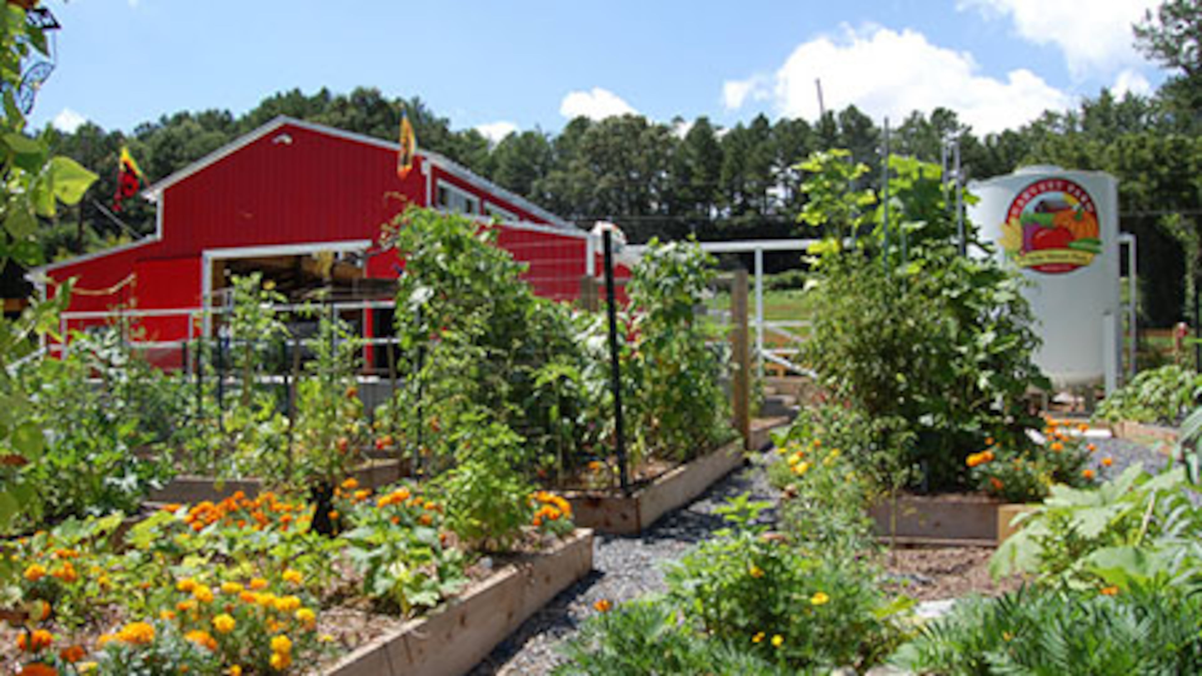 The Orchard, part of Harvest Farm, is a community space where city residents can collectively grow and harvest produce.