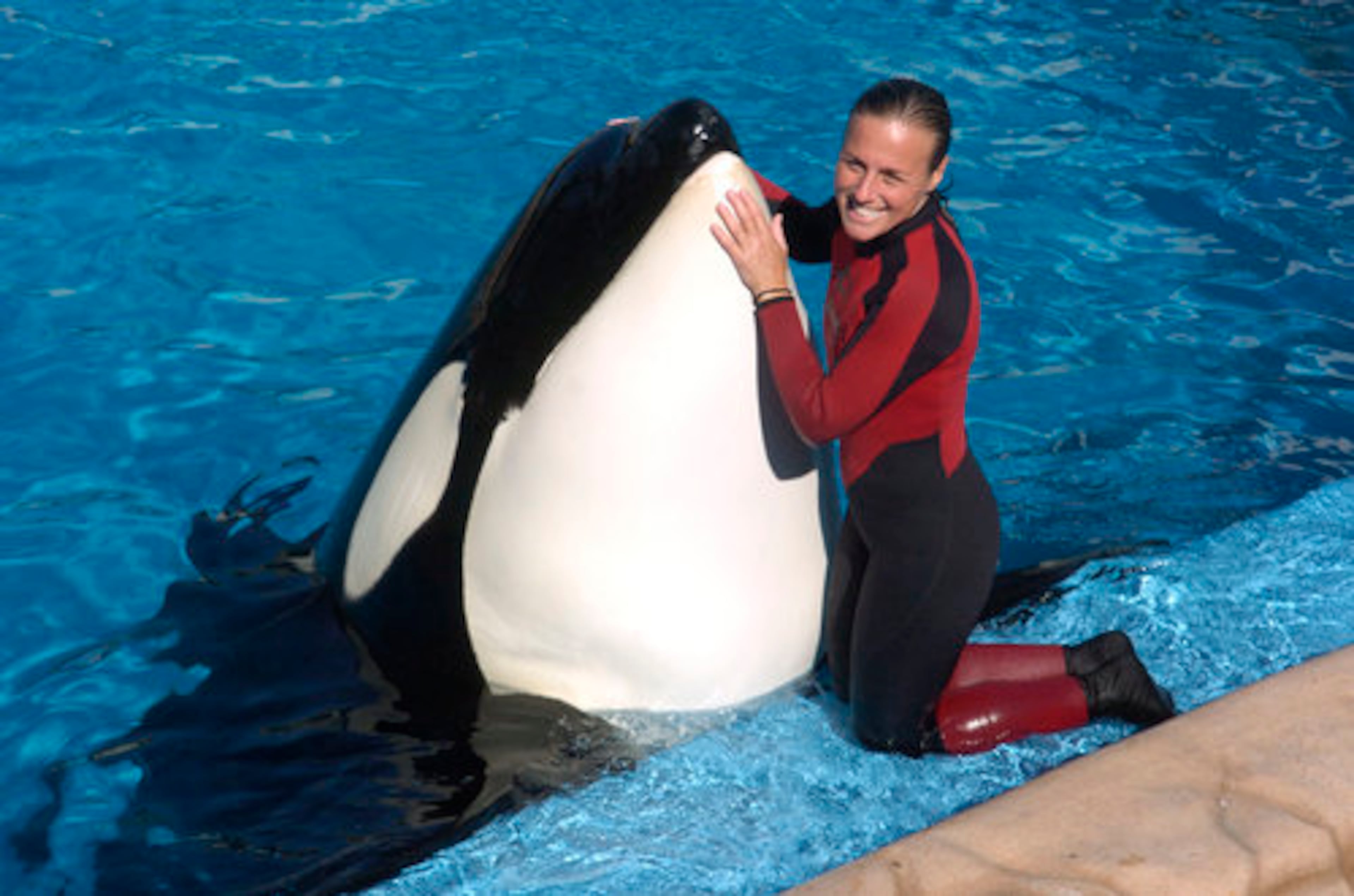Dawn Brancheau, seen in this 2005 photo, was known as one of SeaWorld Orlando's leading trainers. Brancheau knew her relationship with the giant mammals was vital to the job.