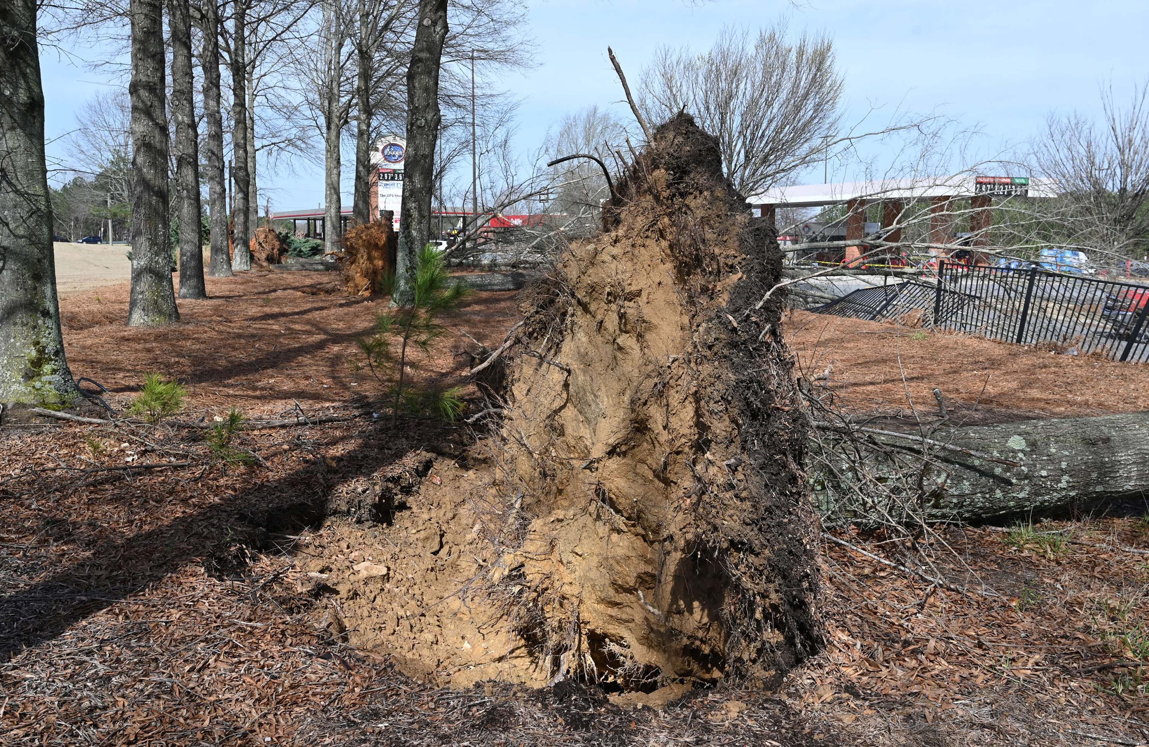 Fallen trees are shown near Kroger mall on Nathan Dean Blvd, Sunday, March 16, 2025, in Dallas. By about 6 p.m. Saturday, the National Weather Service had issue a tornado watch for parts of North Georgia, including Dalton, Calhoun, Ellijay and Jasper. That is in effect until 1 a.m. Sunday. Heavy storms are expected to reach northwest Georgia by around 8 p.m. (Hyosub Shin / AJC)