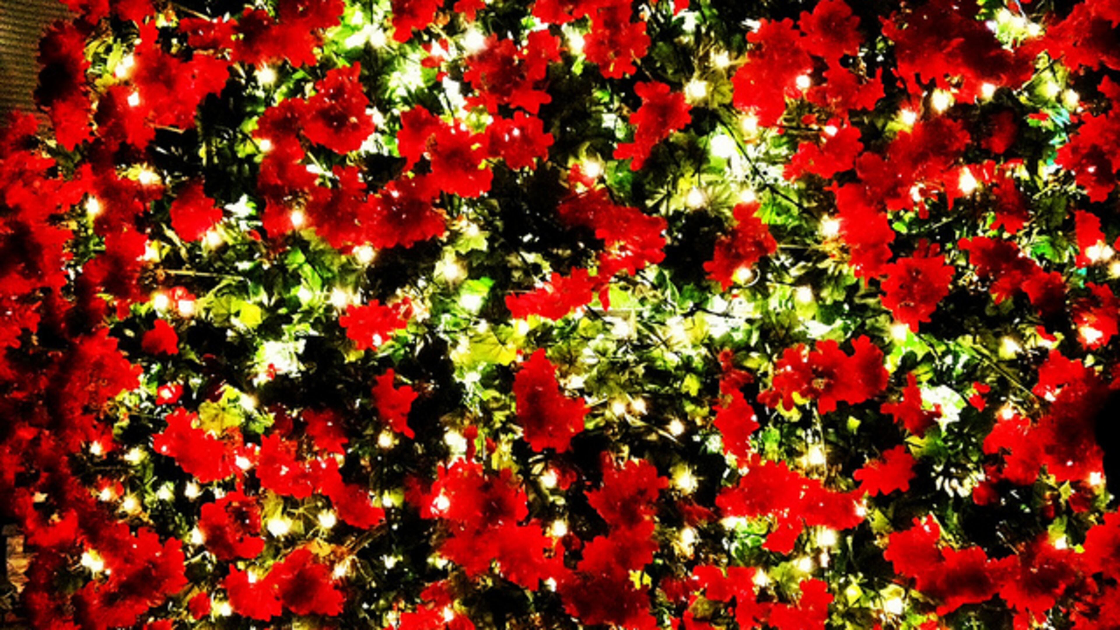 Geranium Drop in McDonoughNew Year’s Eve Geranium Drop. 8 p.m.-midnight today. Free. McDonough Town Square, McDonough. Dance, listen to live music and enjoy food and drink specials from downtown restaurants. The giant geranium starts to drop as midnight approaches. 770-898-3196, VisitMcDonoughGa.com.