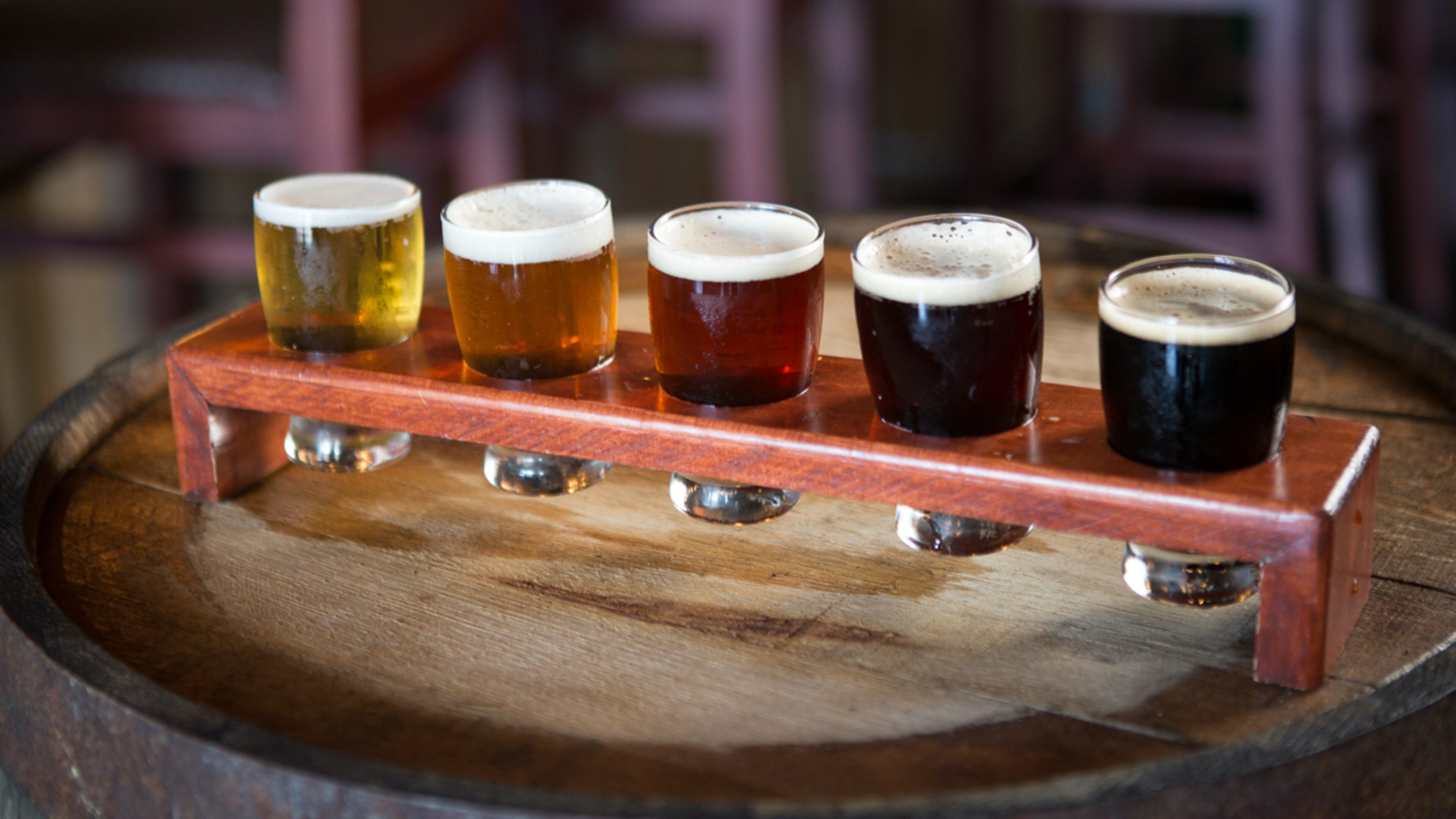 A flight of beer at Cherry Street Taproom.