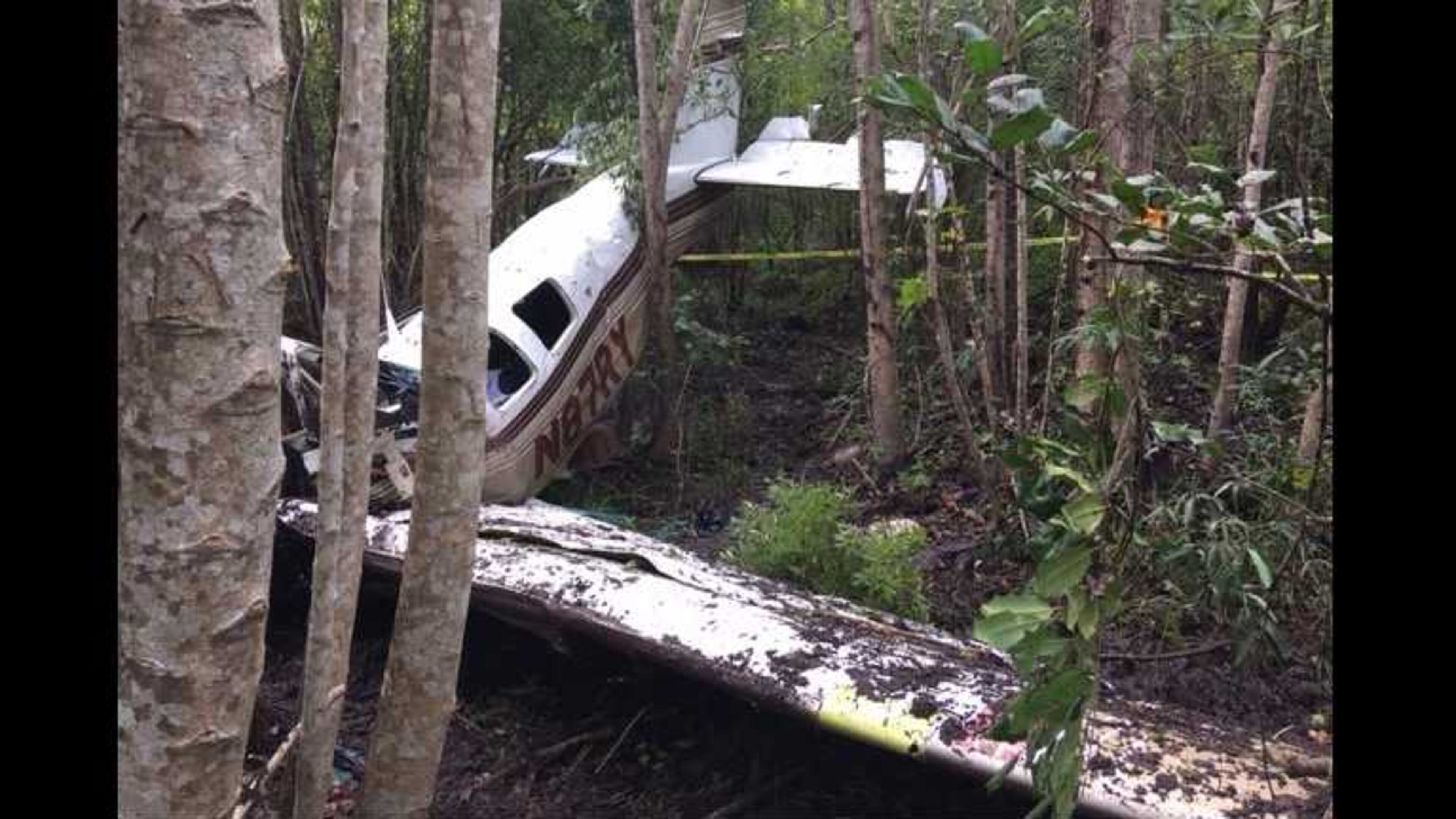 This is the charter plane that crashed near Savannah, killing its two passengers and the pilot the morning of Monday, Aug. 28, 2017.