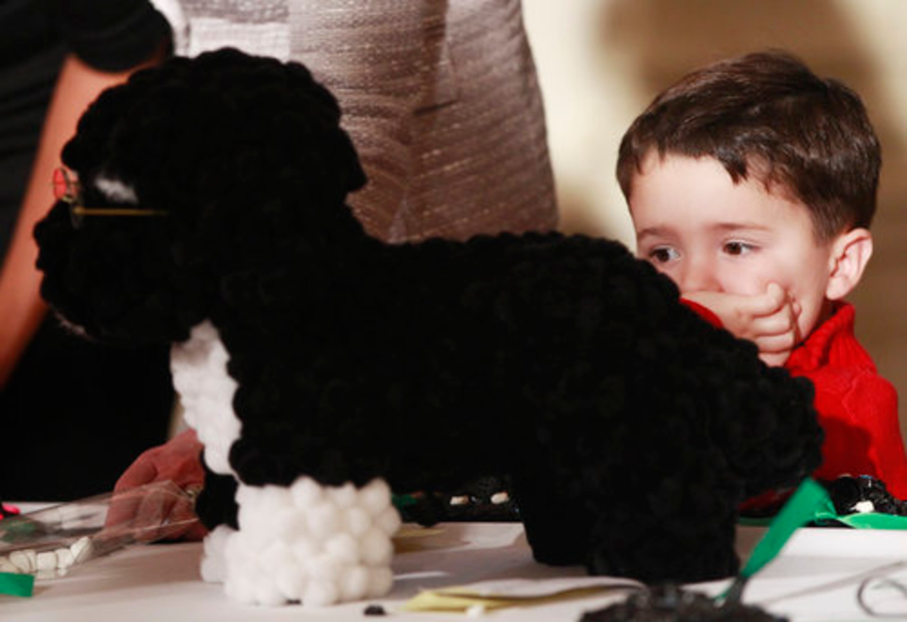 An unidentified boy is seen at right as children from military families decorate a rendition of Bo, the Obama family dog, made from licorice. The theme of the Christmas holiday decorations is "Shine, Give, Share."