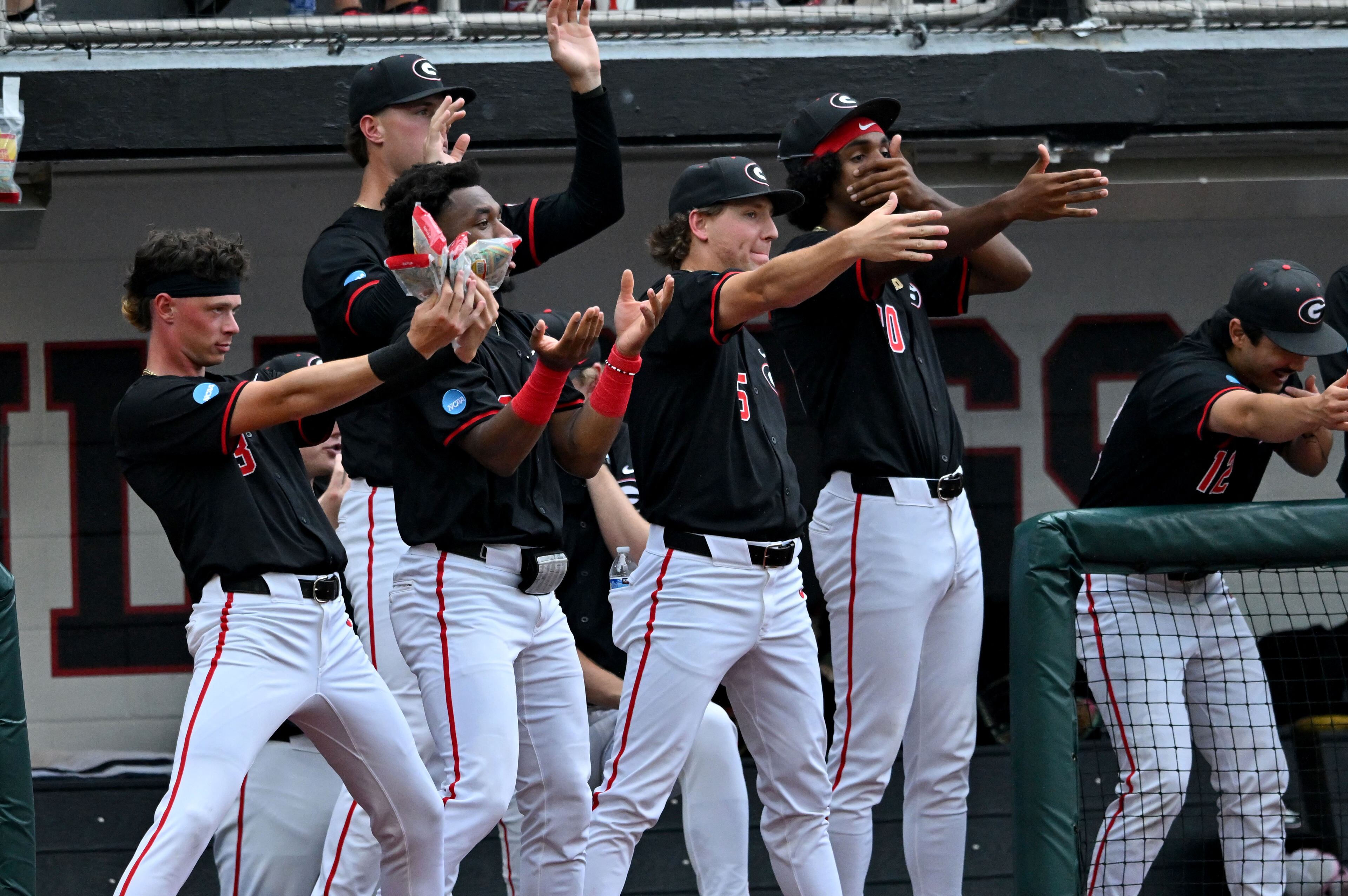 UGA baseballl vs. Long Island