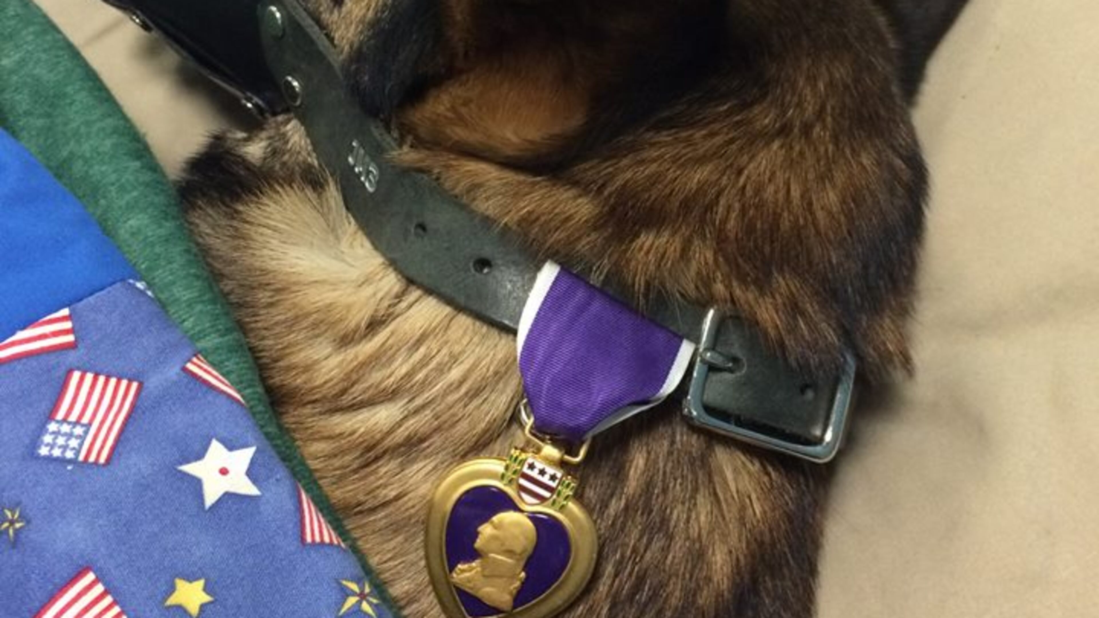 The 89th Military Police Brigade in Fort Hood, Tex. posted this moving image.