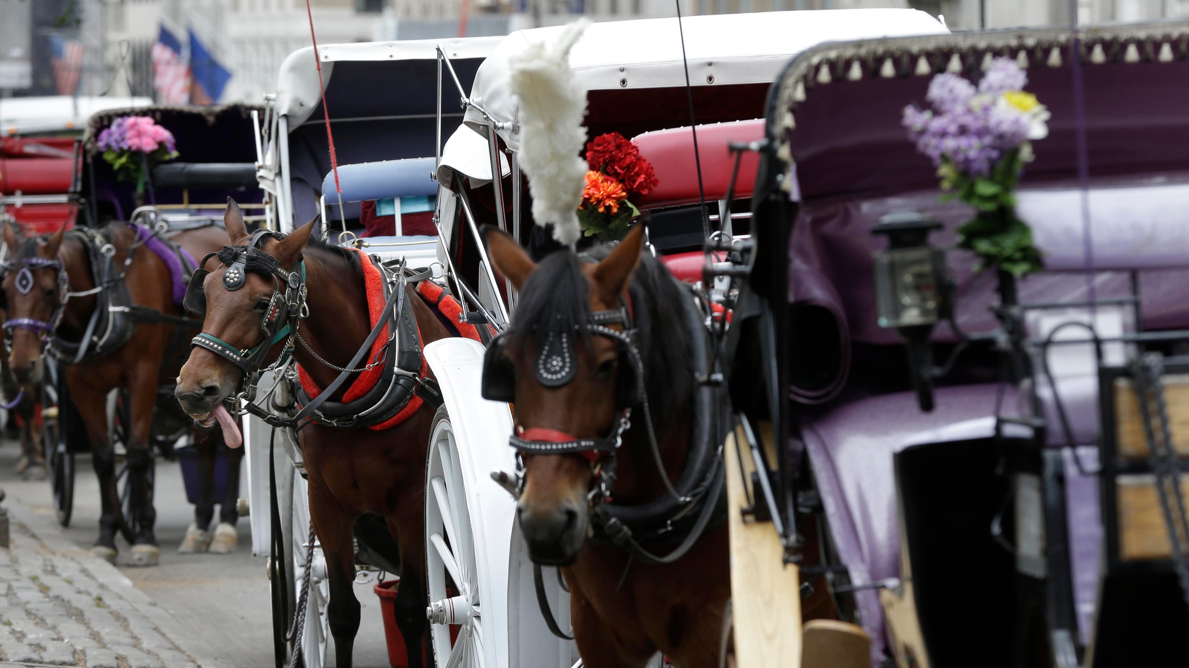 FILE - Horses and carriages wait for customers on Oct. 23, 2013, near Central Park in New York. (AP Photo/Seth Wenig, File)