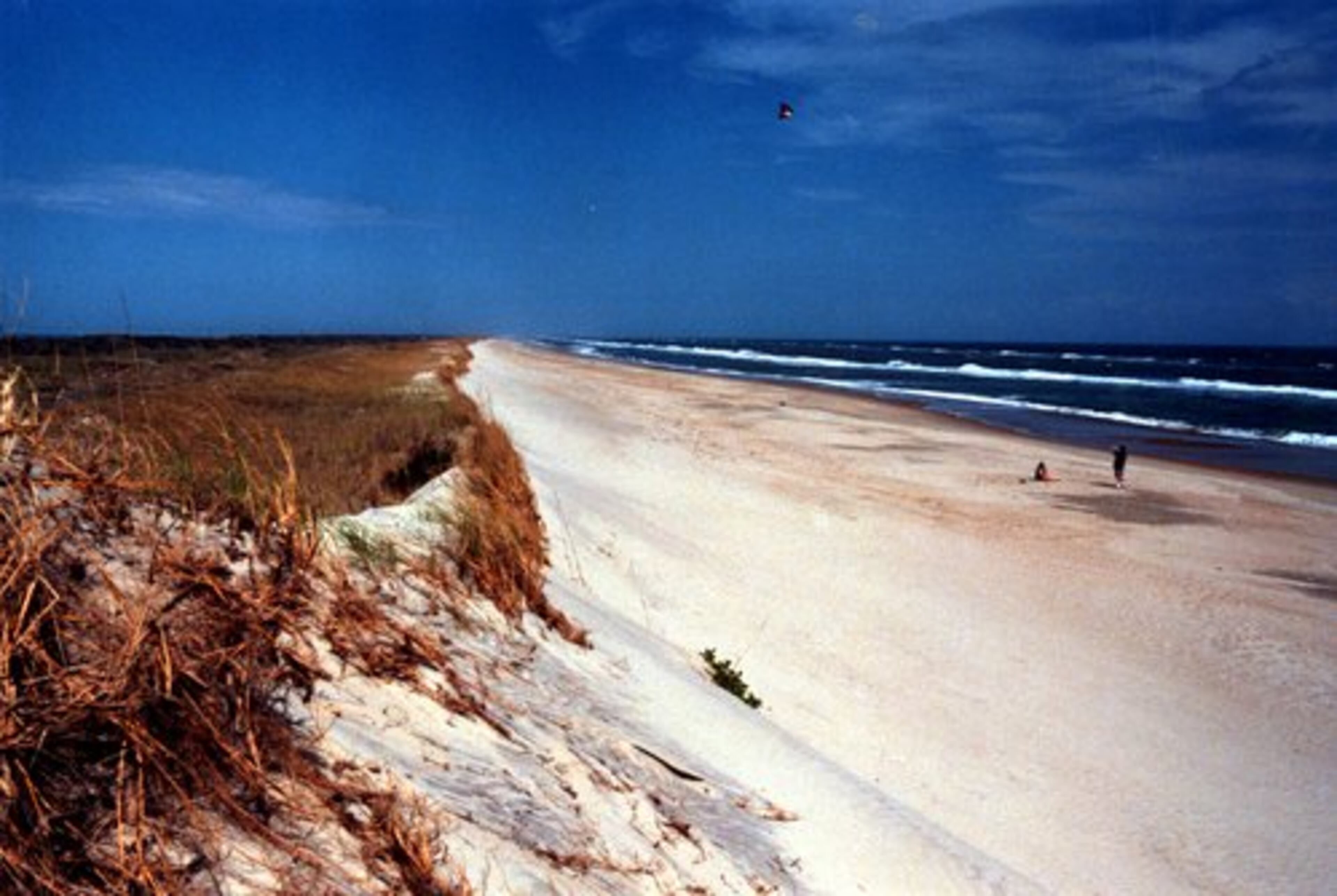 A VIEW north along Ocracoke Island's sand dune ridge with visitors flying a kite on the beach.