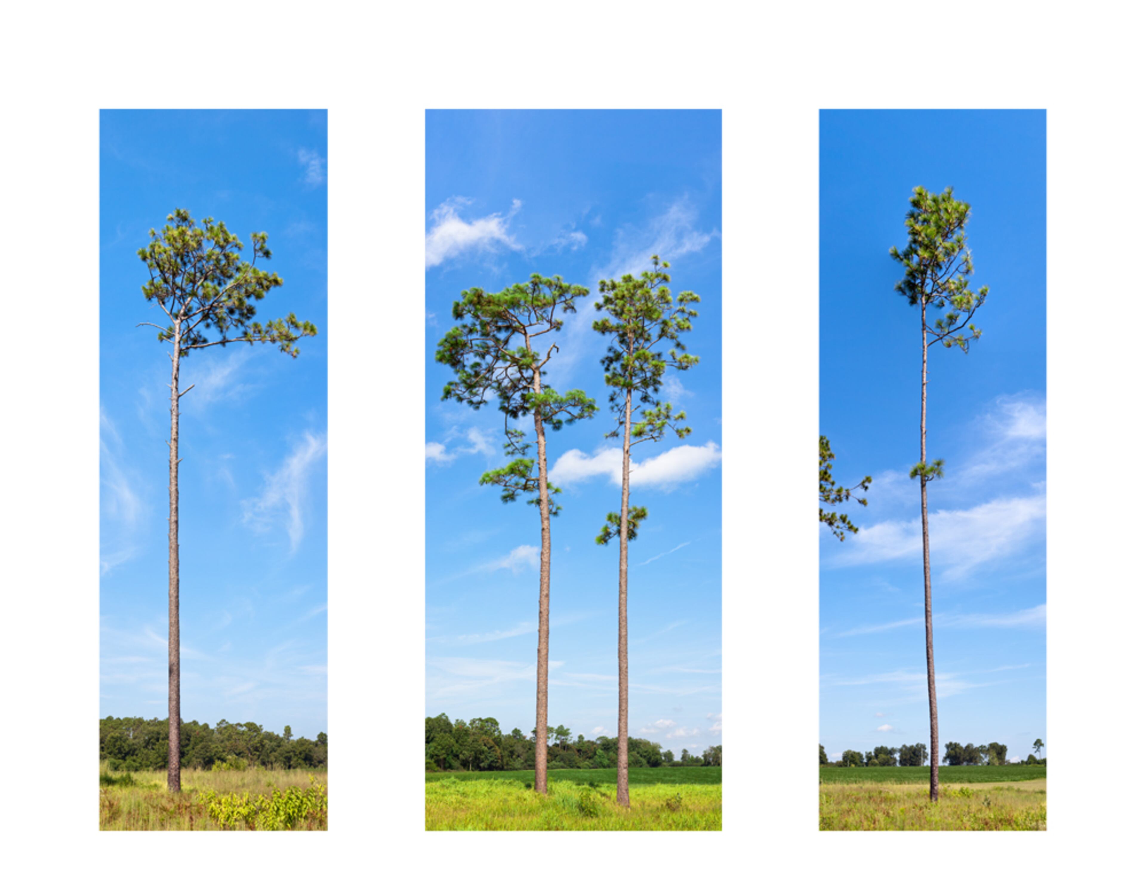 Justin Cordova's "Lest All Desire Be That of Reason" will be on view at APG Gallery.