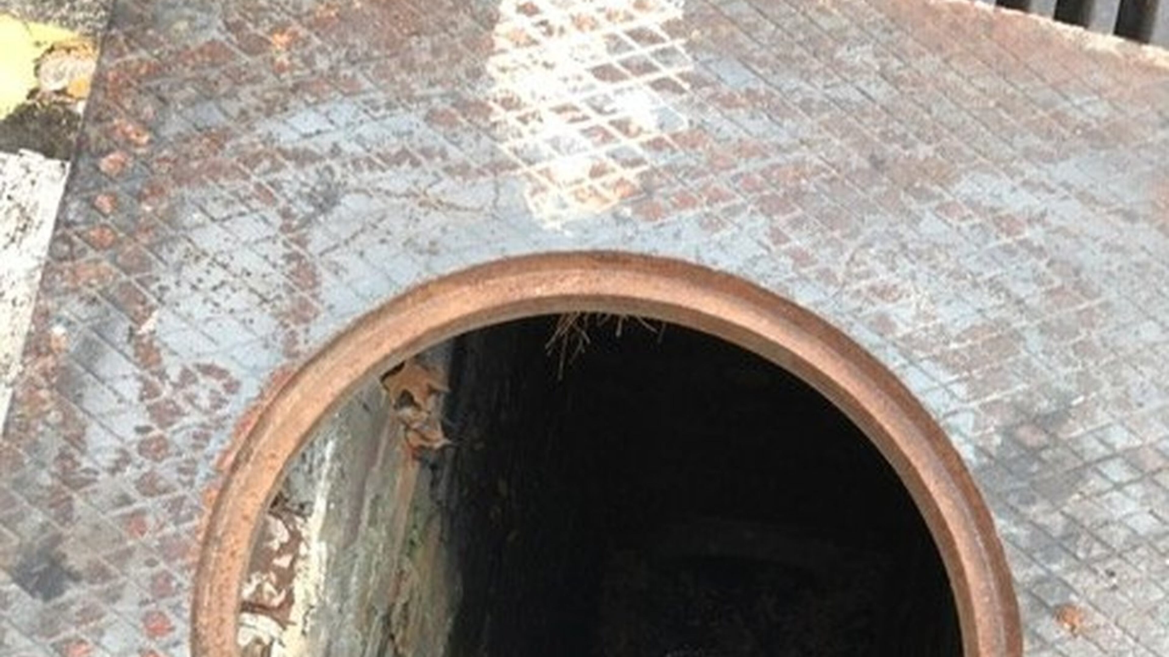 Jerry Barnes wants this storm cover fixed before someone steps in it and is injured. Photo/Jerry Barnes.